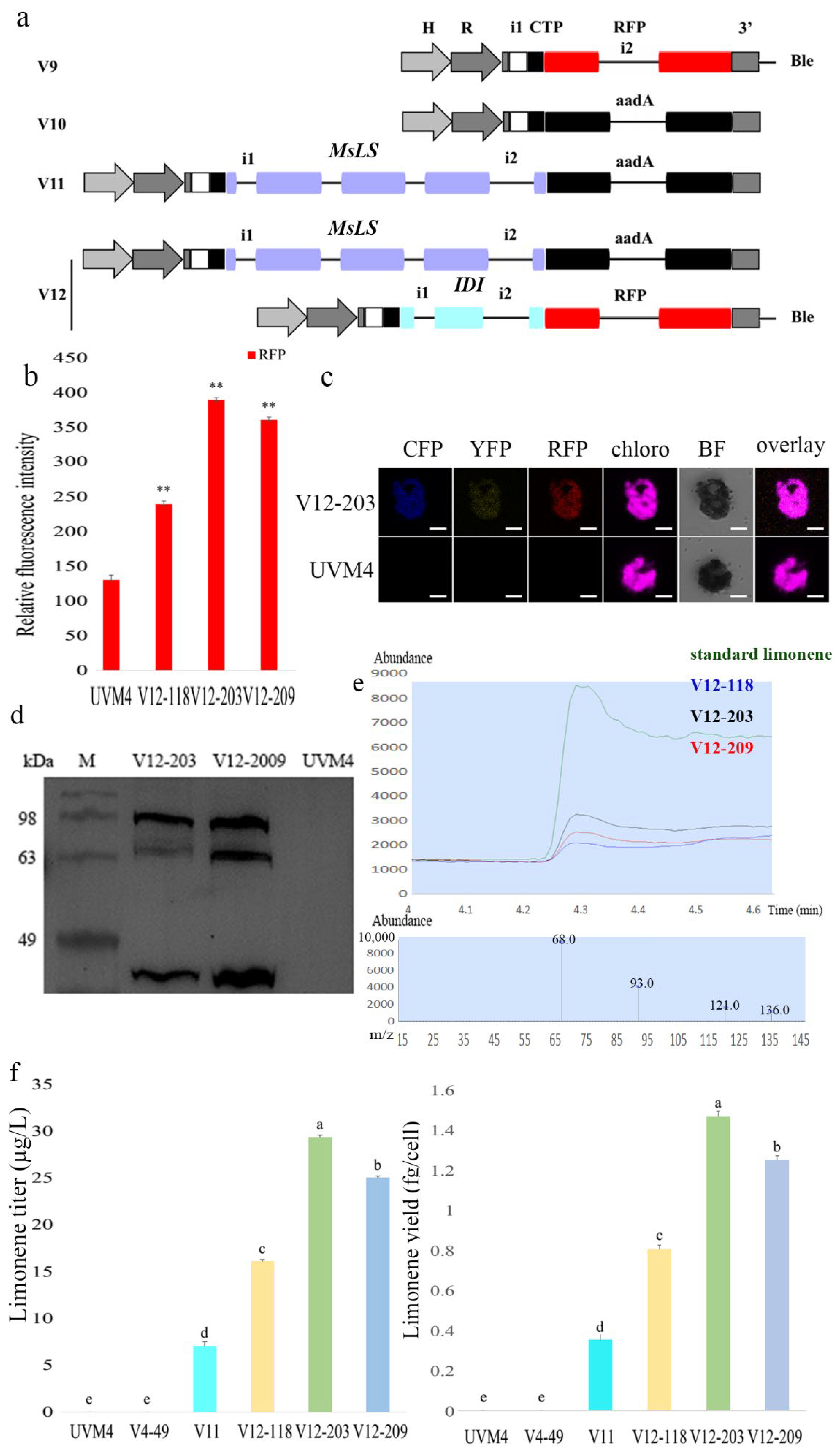Marinedrugs 20 00577 g004