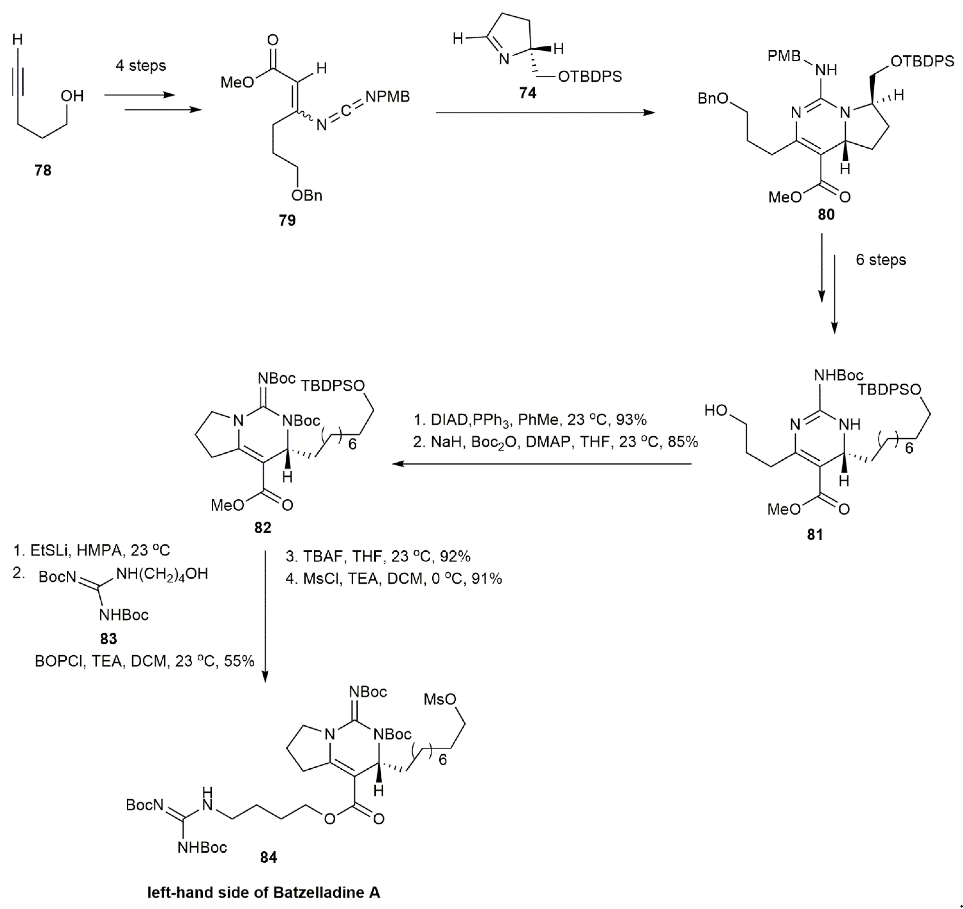 Marinedrugs 20 00579 g006