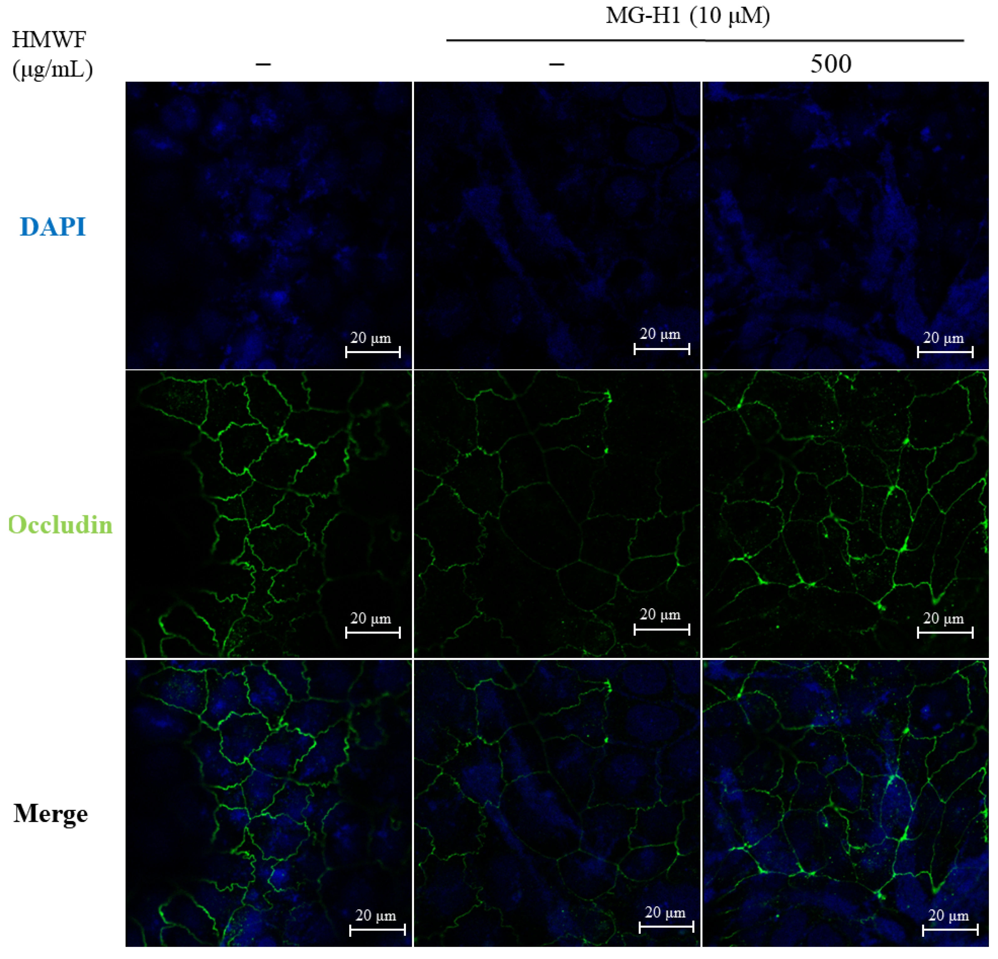 Marinedrugs 20 00580 g005