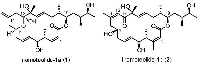 Marinedrugs 20 00587 g001