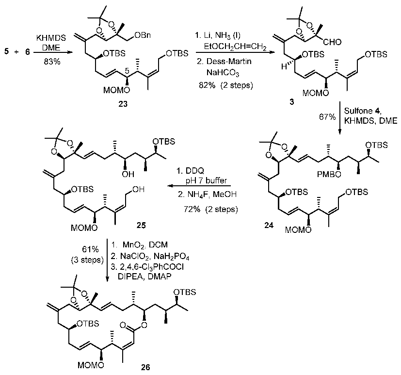 Marinedrugs 20 00587 sch004