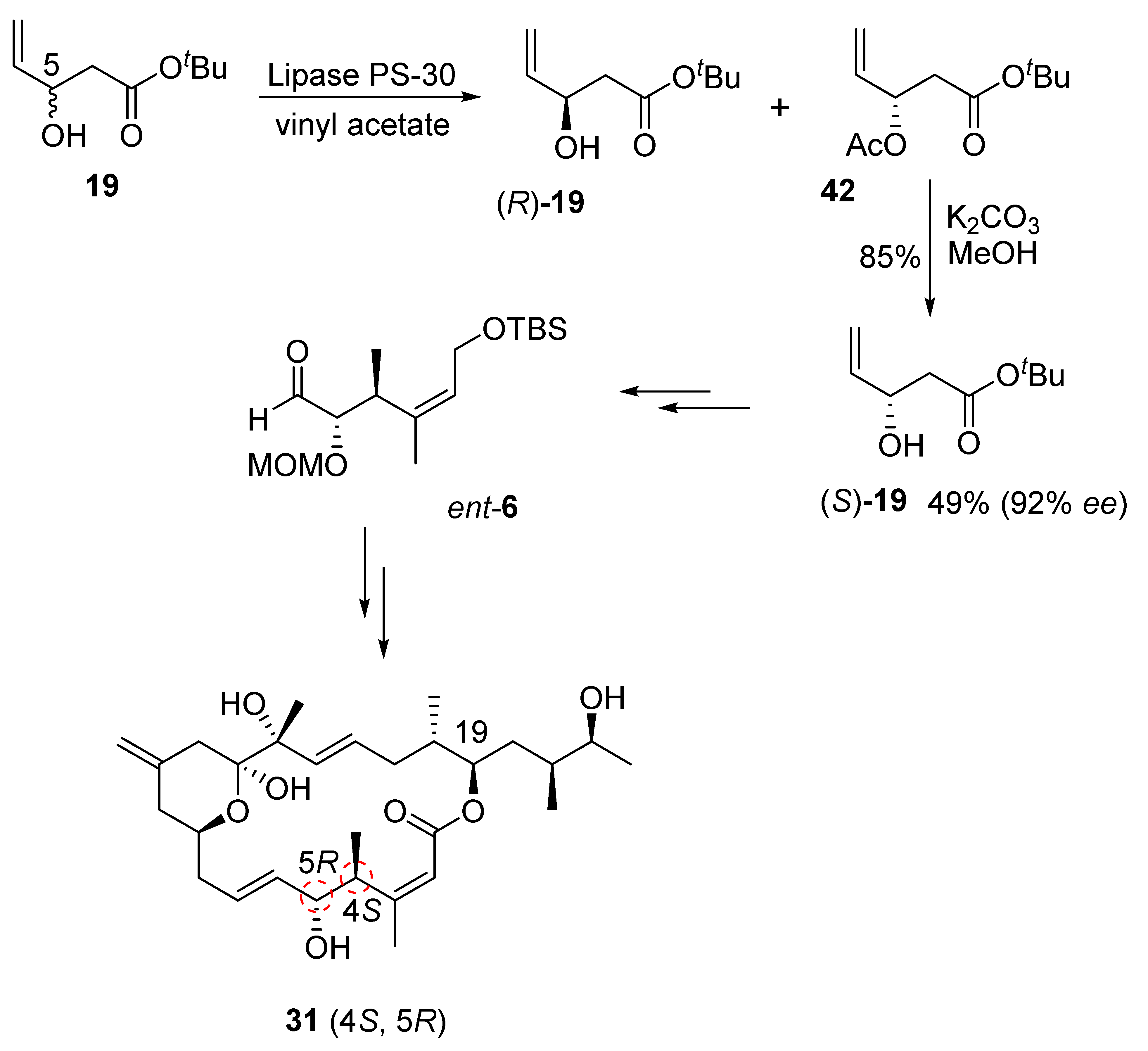 Marinedrugs 20 00587 sch009