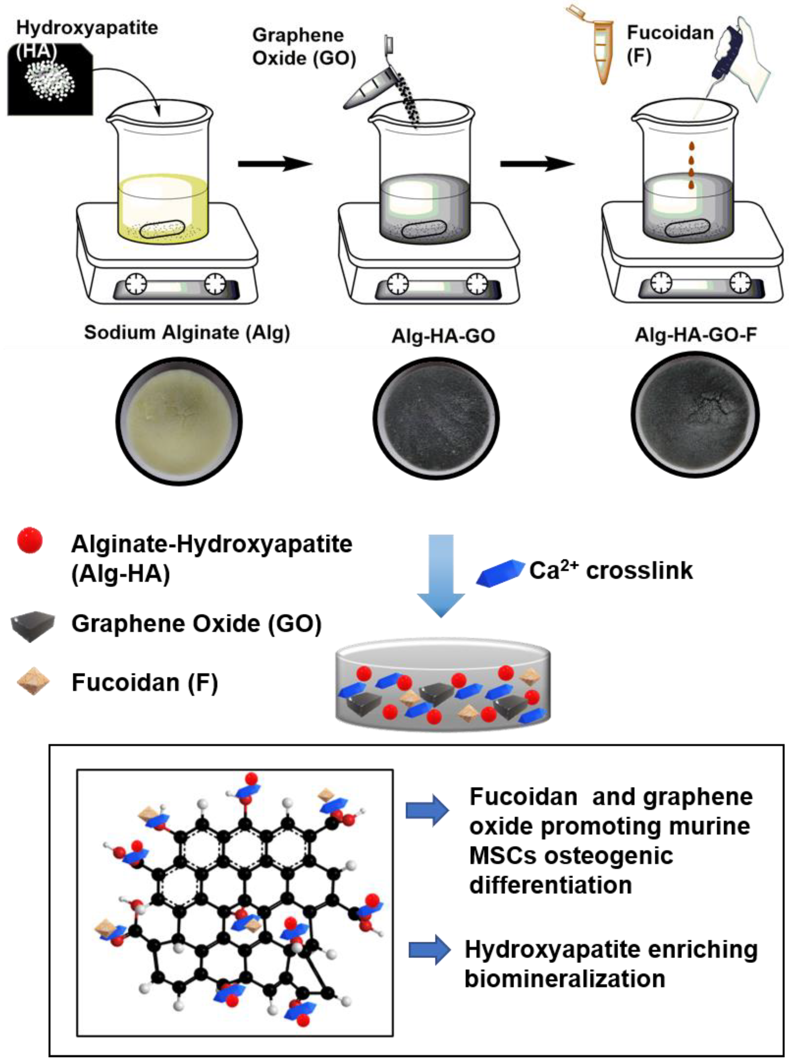 Marinedrugs 20 00589 g001