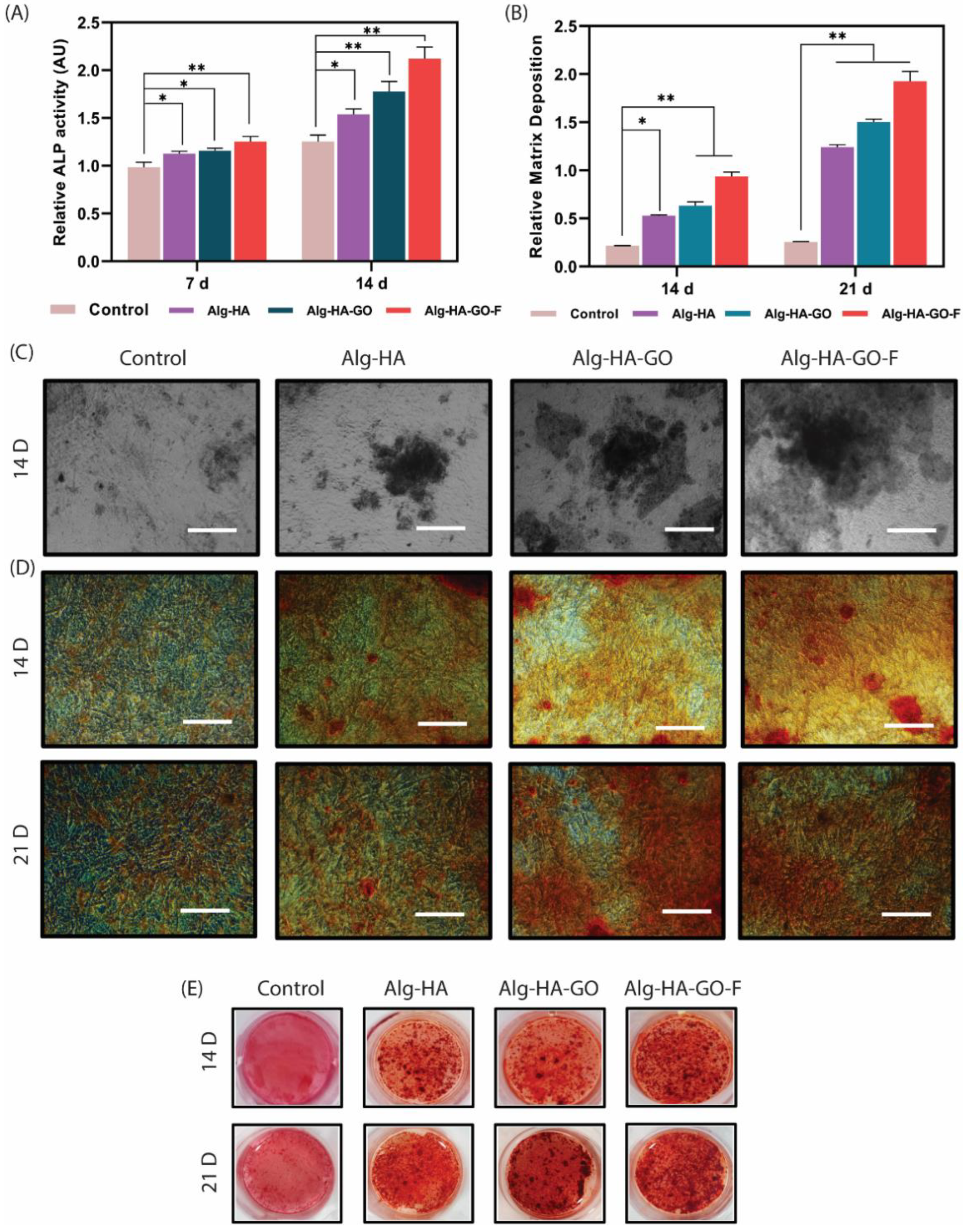Marinedrugs 20 00589 g009