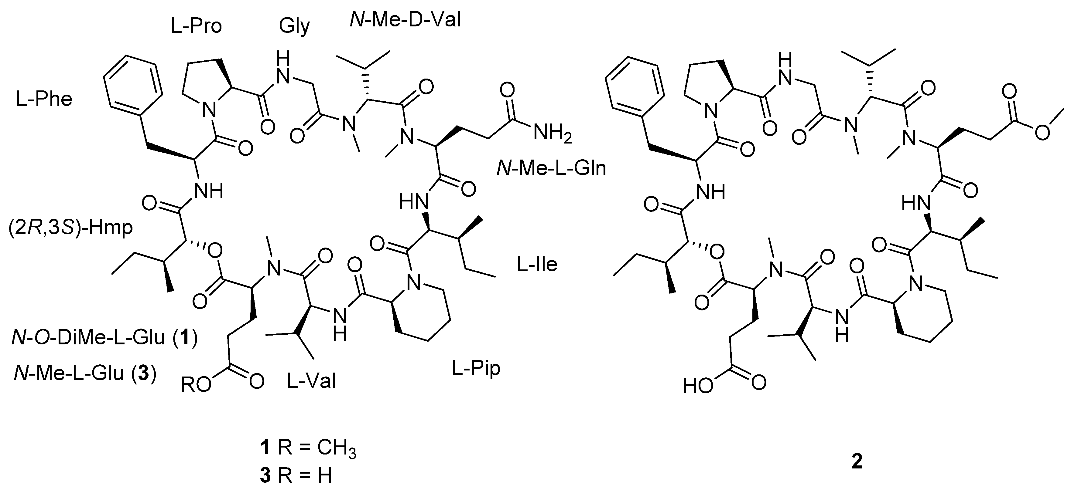 Marinedrugs 20 00591 g001 Marinedrugs 20 00591 g001