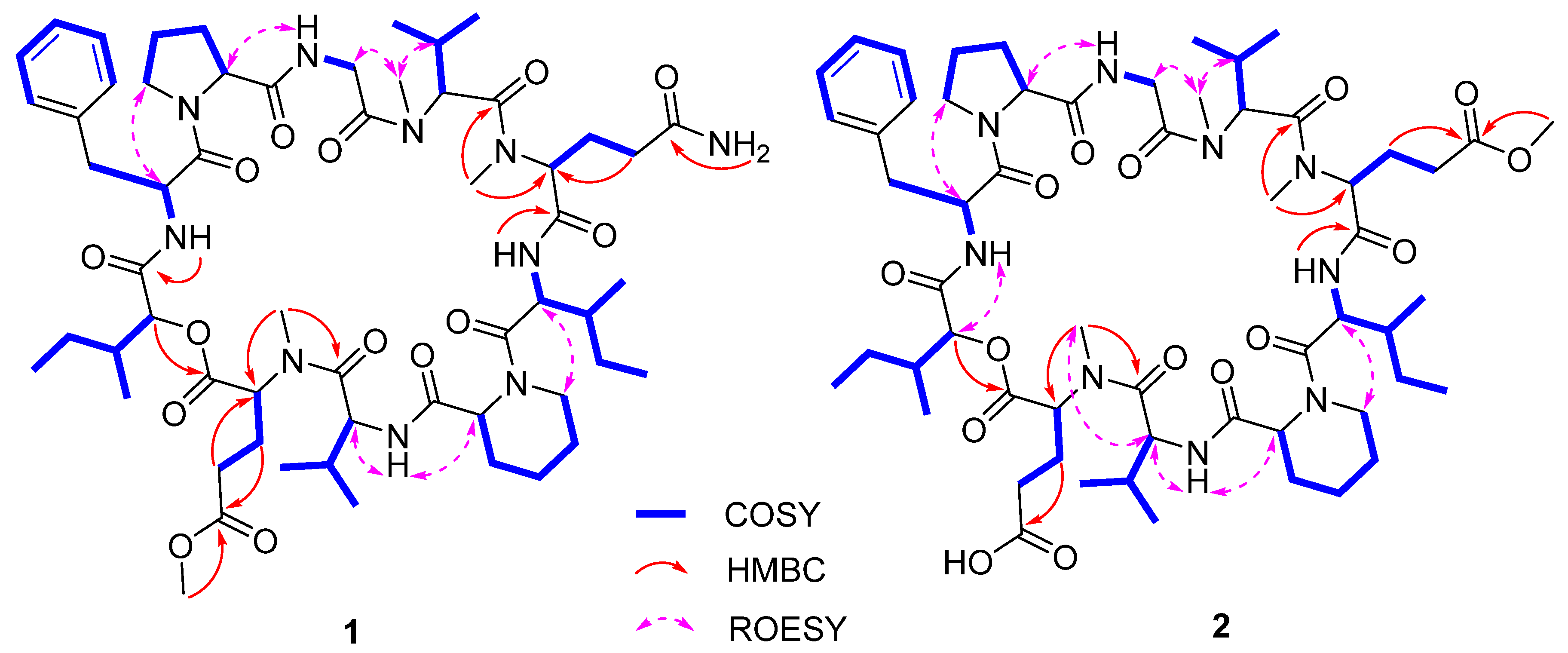 Marinedrugs 20 00591 g002 Marinedrugs 20 00591 g002