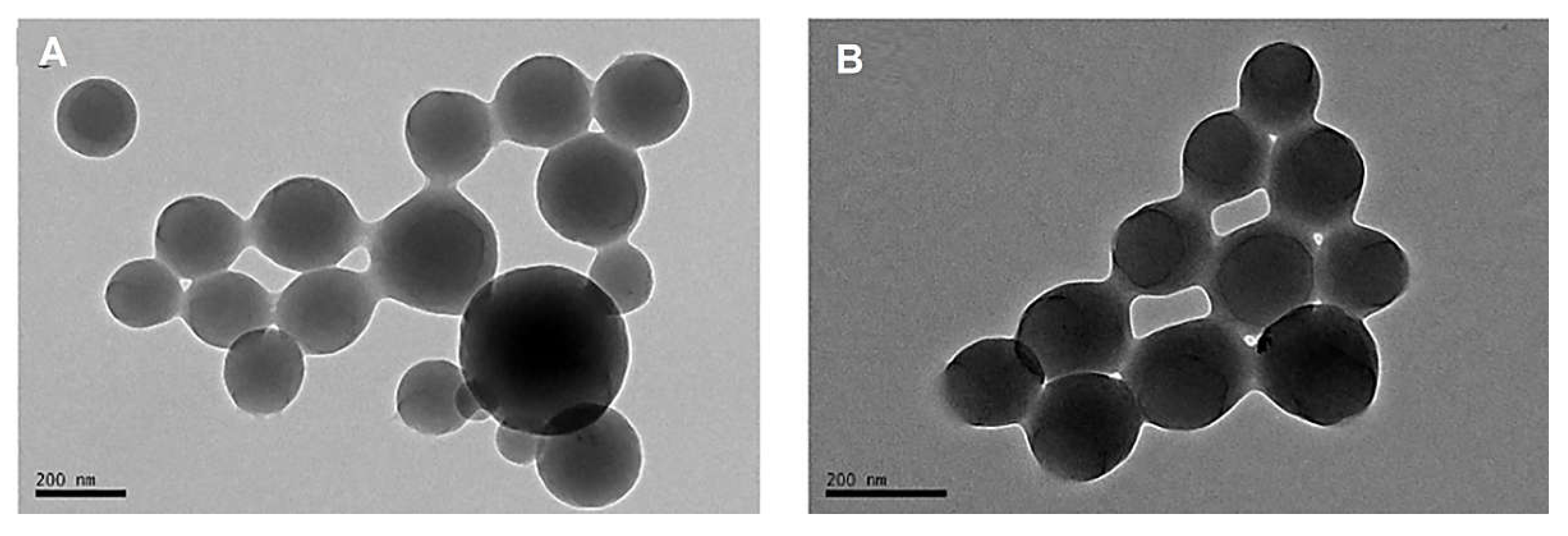 Marinedrugs 20 00598 g004