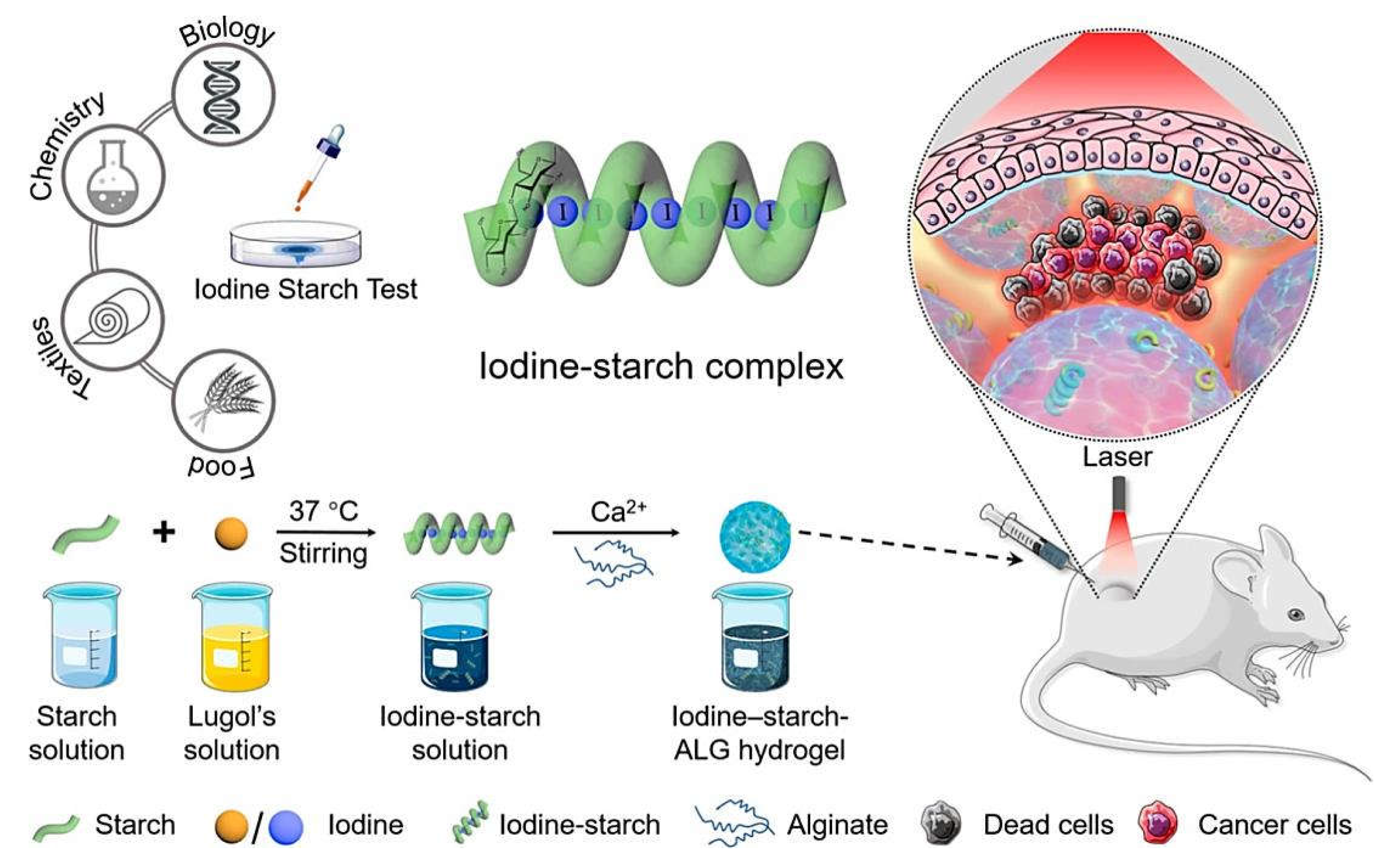 Marinedrugs 20 00598 g006