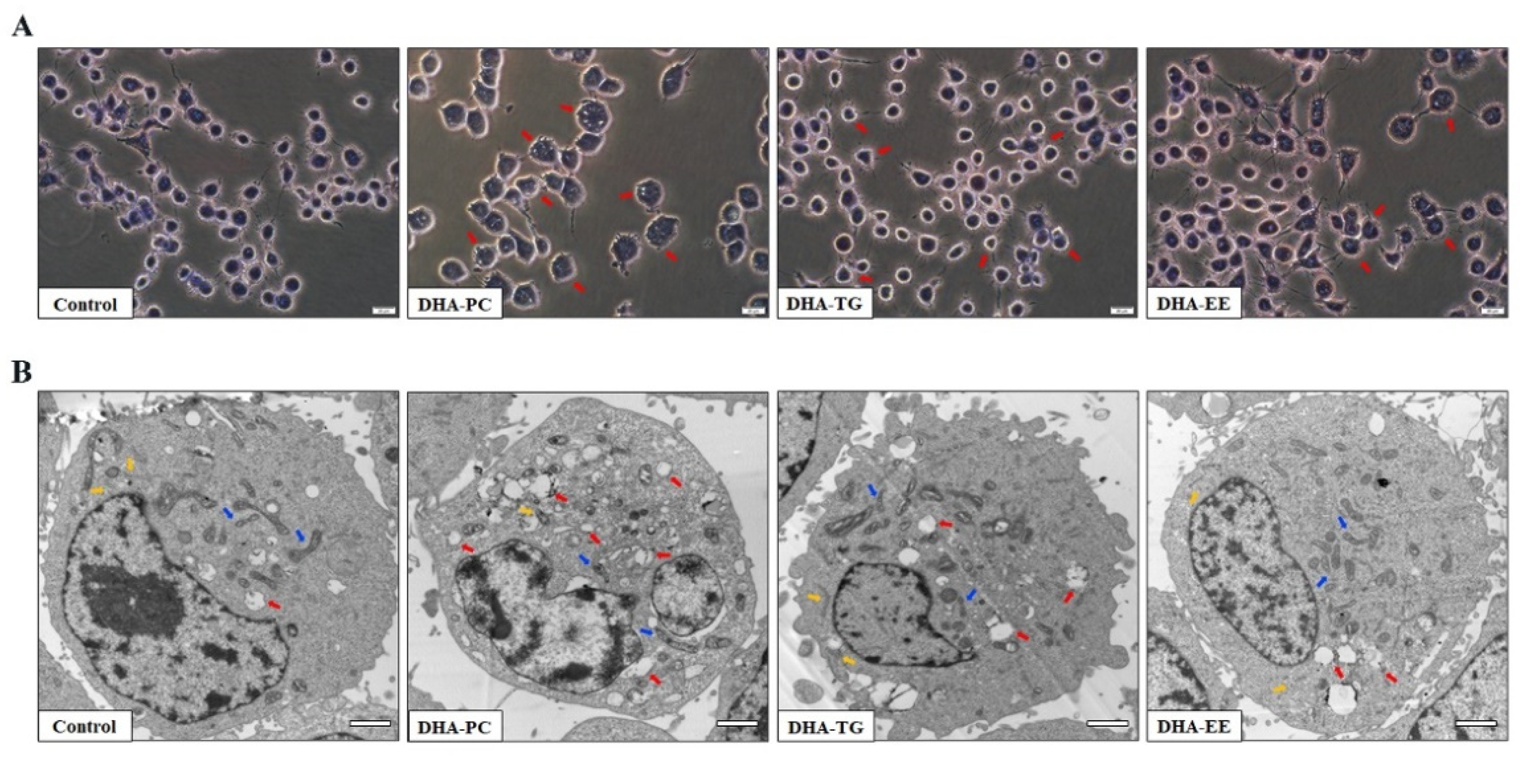 Marinedrugs 20 00599 g002 Marinedrugs 20 00599 g002