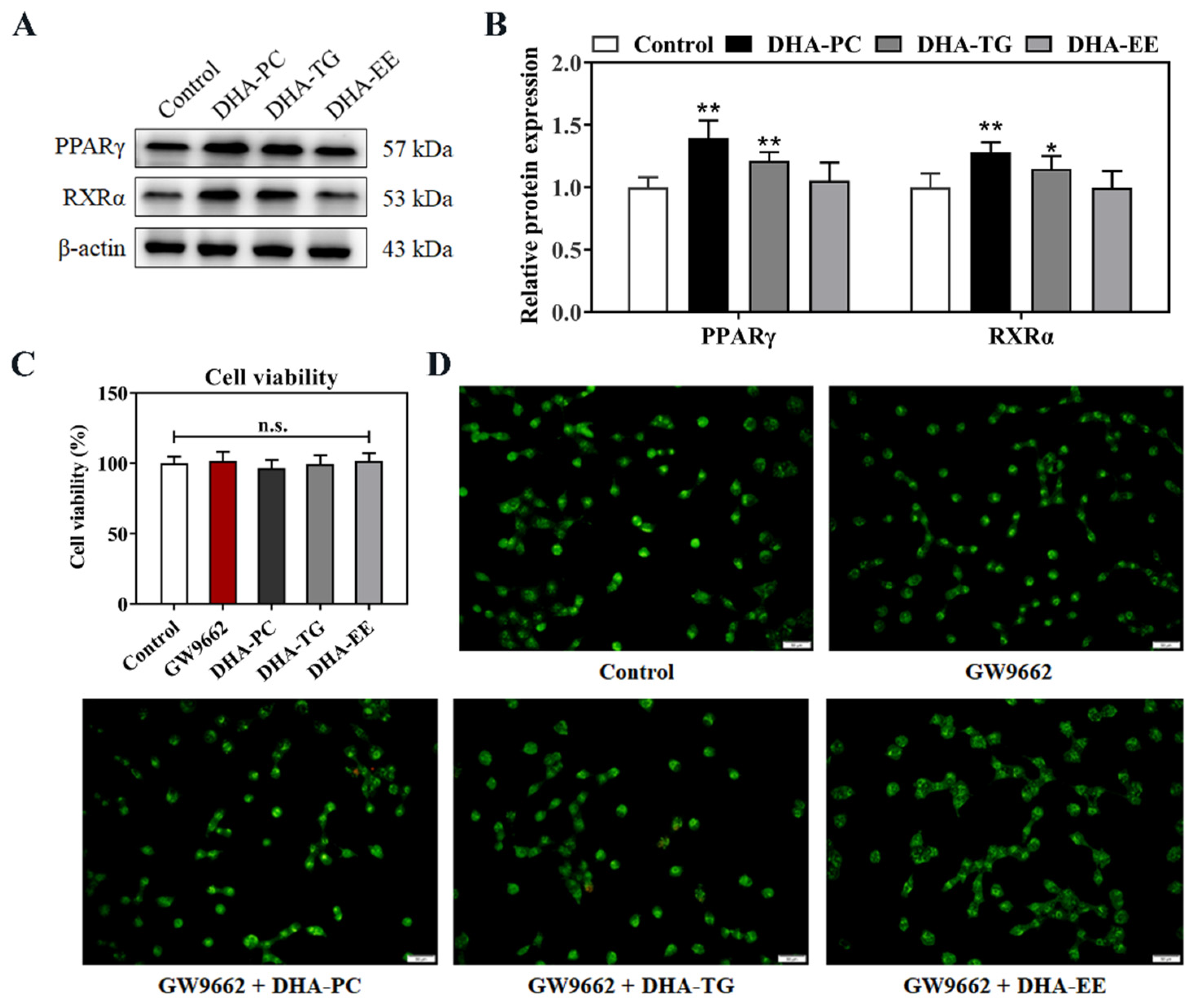 Marinedrugs 20 00599 g004 Marinedrugs 20 00599 g004