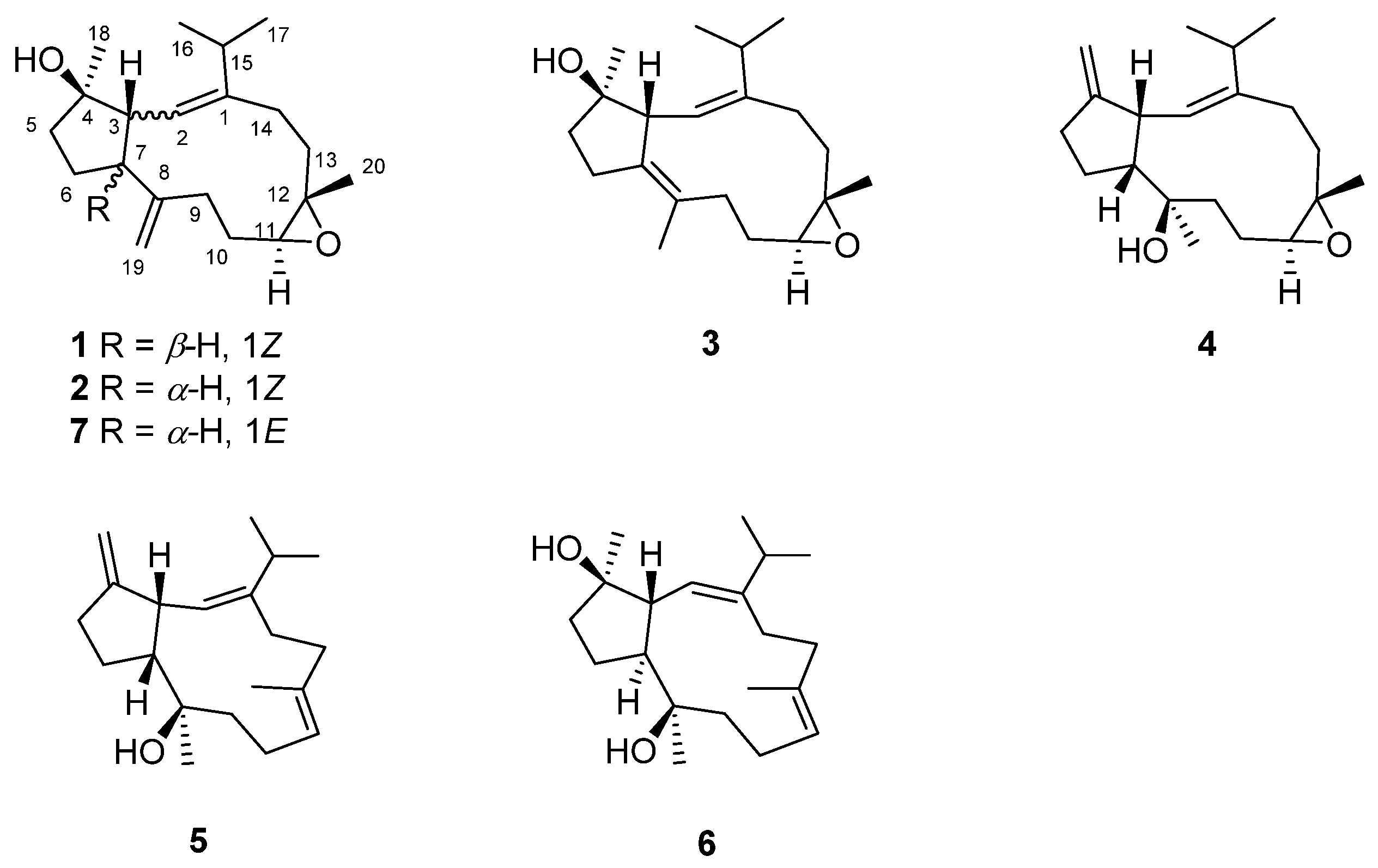 Marinedrugs 20 00602 g001