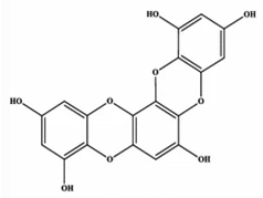 Marinedrugs 20 00607 i004 Marinedrugs 20 00607 i004