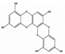 Marinedrugs 20 00607 i006 Marinedrugs 20 00607 i006