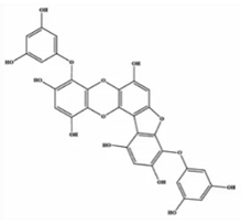 Marinedrugs 20 00607 i007 Marinedrugs 20 00607 i007