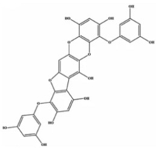 Marinedrugs 20 00607 i008 Marinedrugs 20 00607 i008