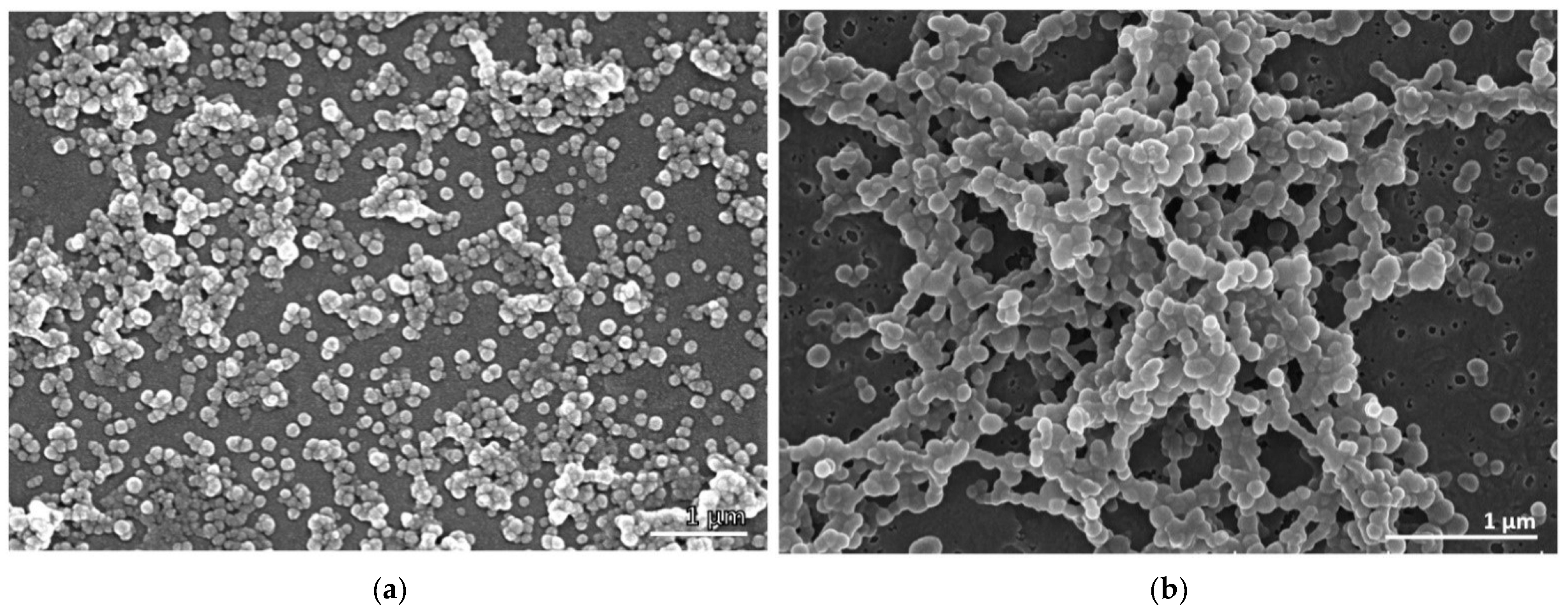 Marinedrugs 20 00608 g001