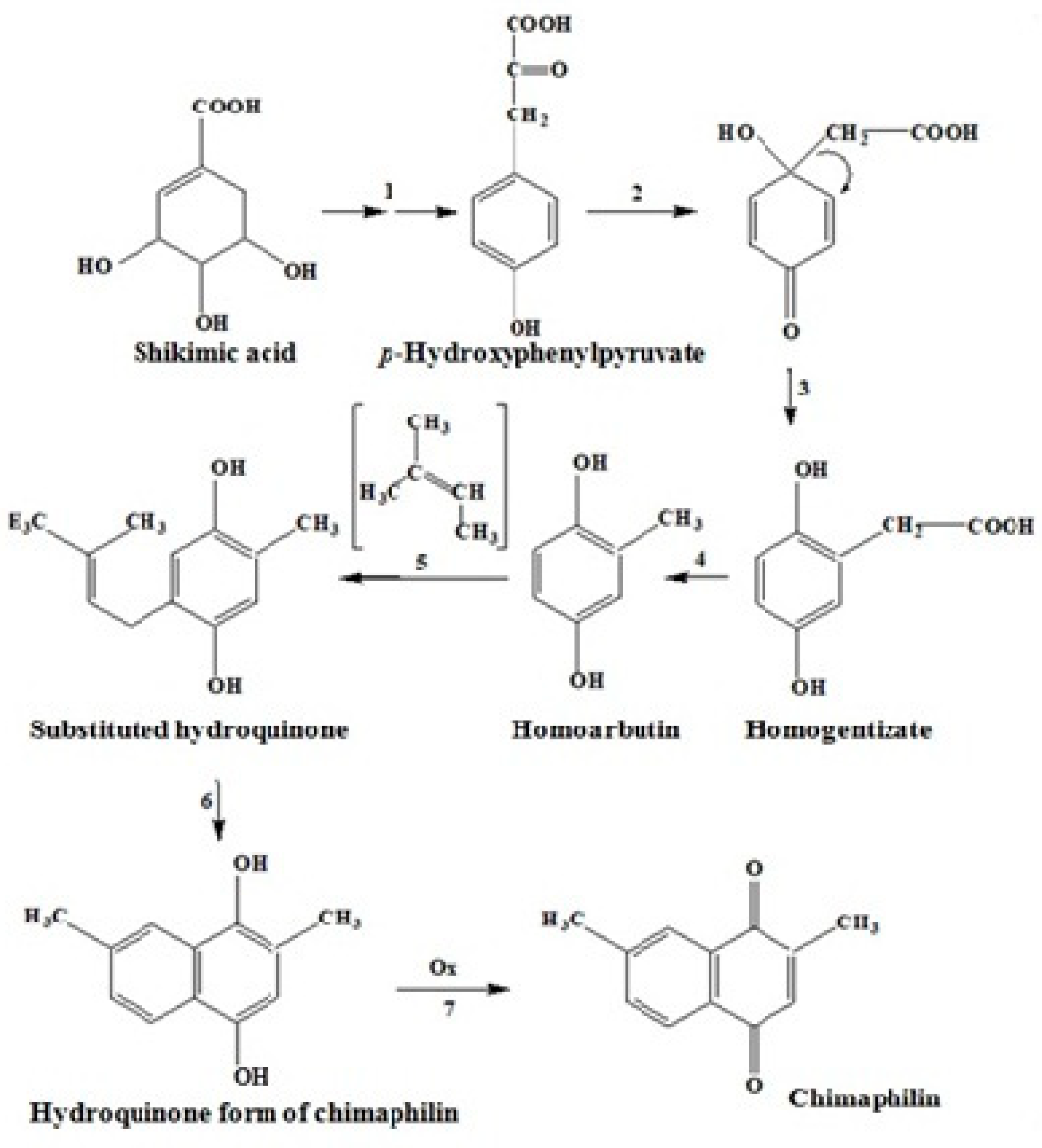 Marinedrugs 20 00611 g006