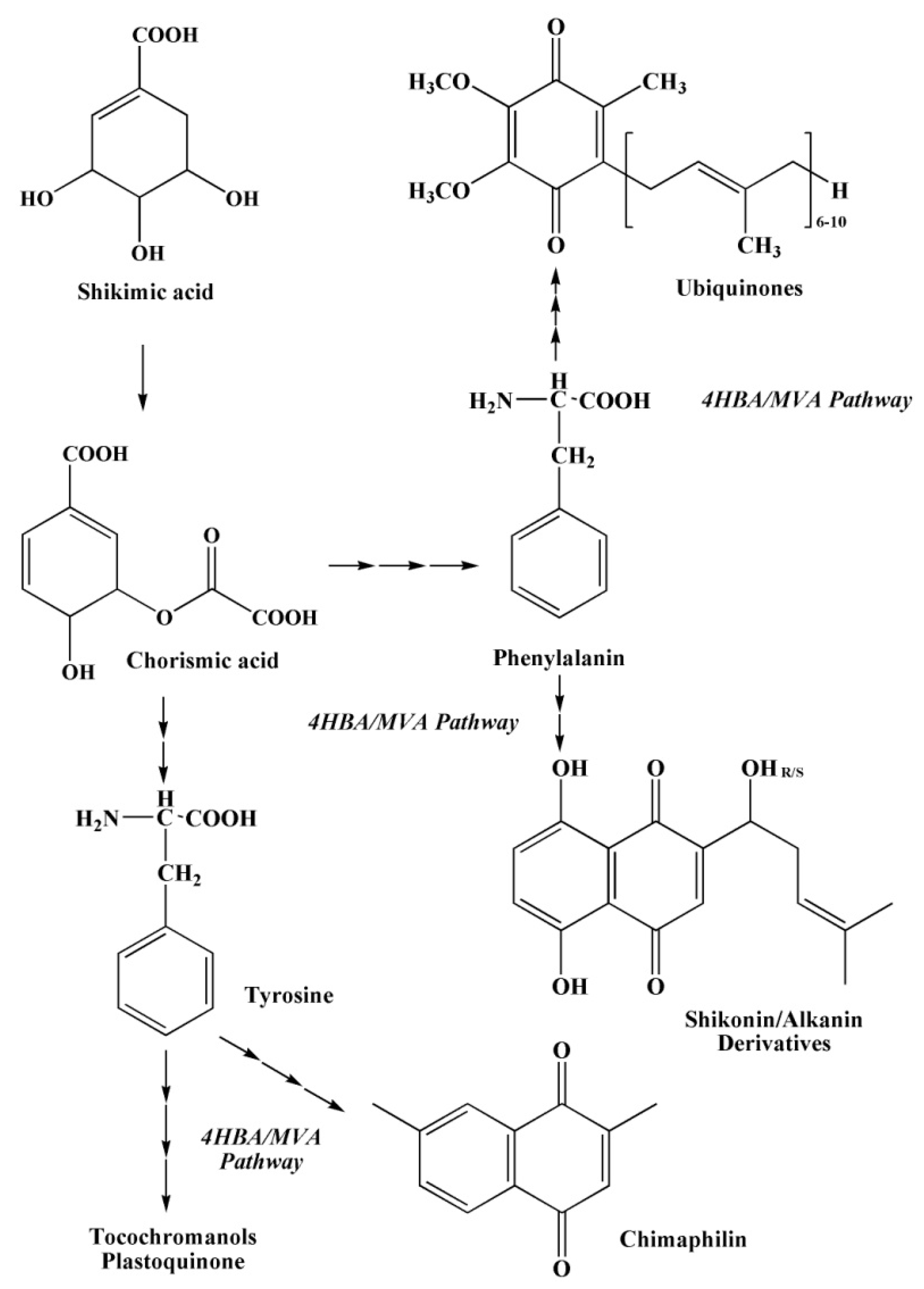 Marinedrugs 20 00611 g008