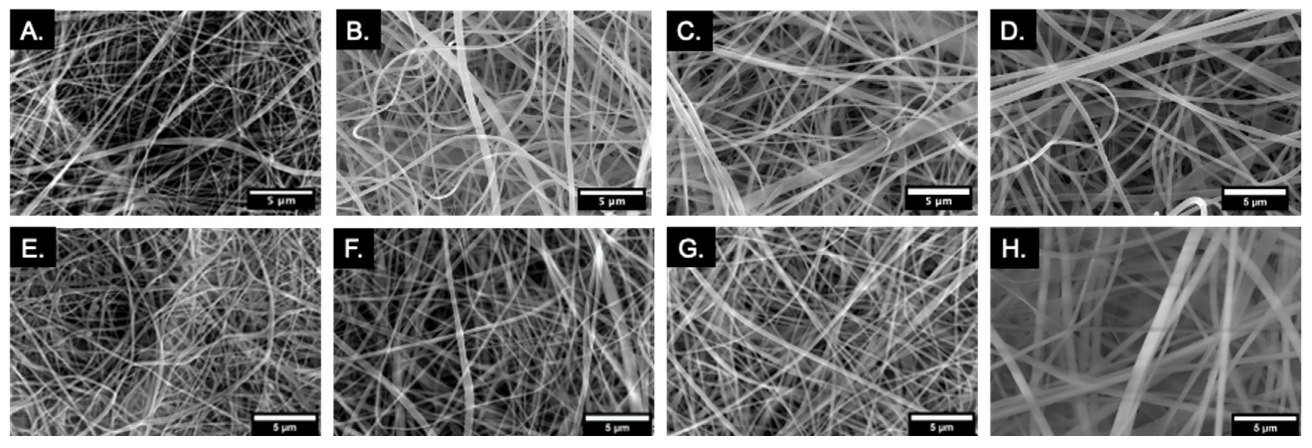 Marinedrugs 20 00615 g001 Marinedrugs 20 00615 g001