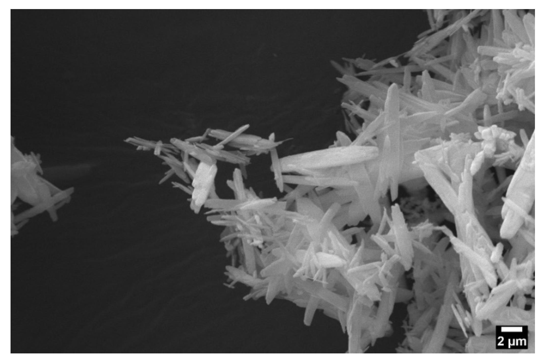 Marinedrugs 20 00615 g008 Marinedrugs 20 00615 g008