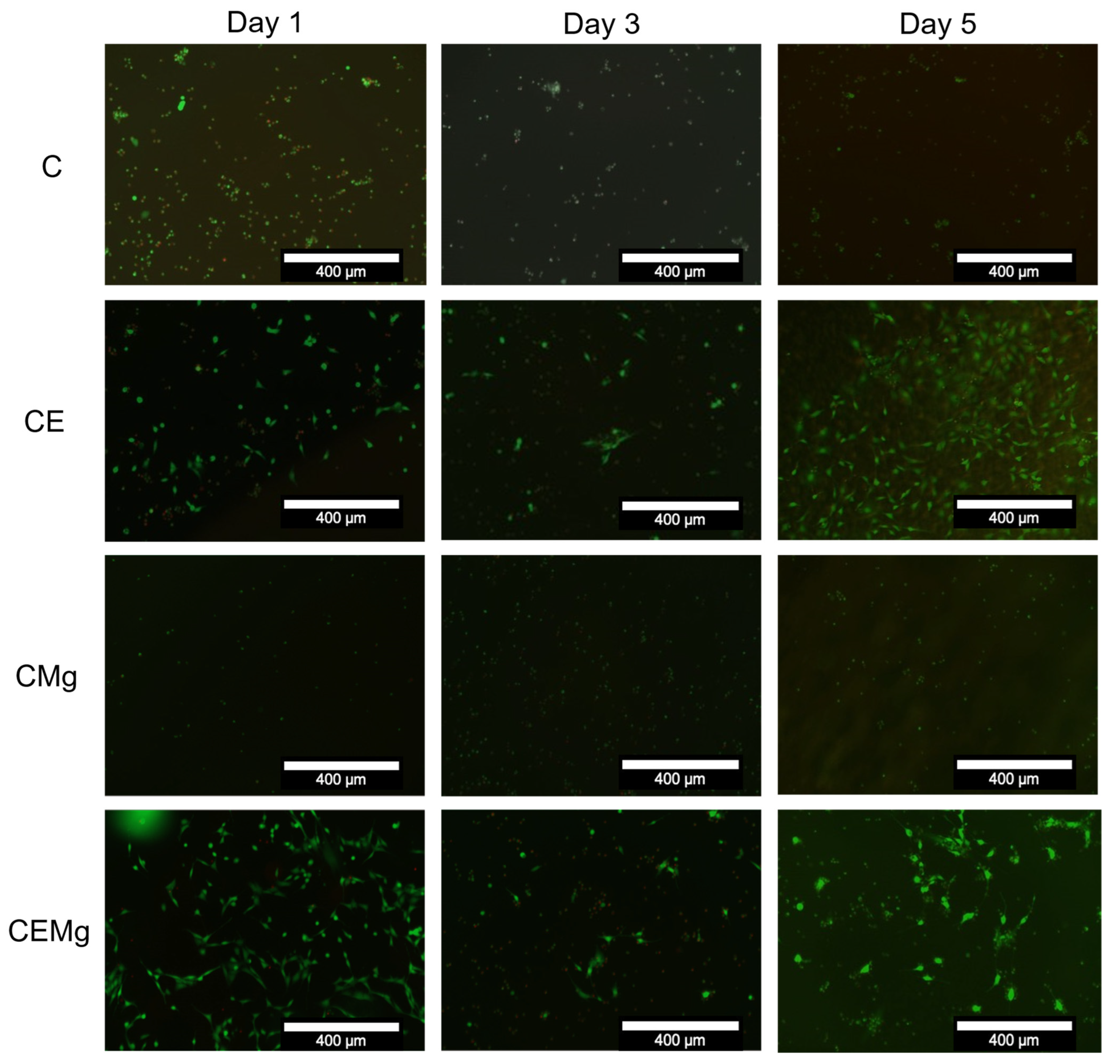 Marinedrugs 20 00615 g014 Marinedrugs 20 00615 g014