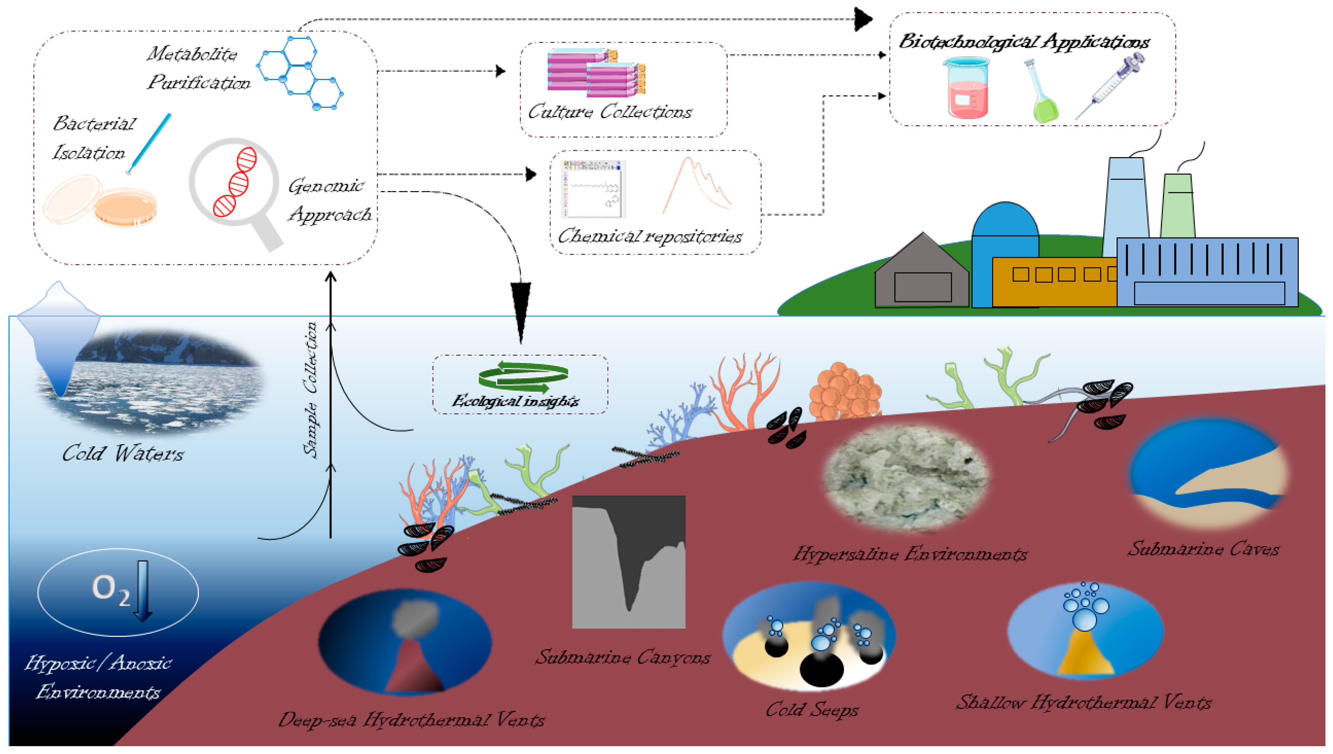 Marinedrugs 20 00617 g001
