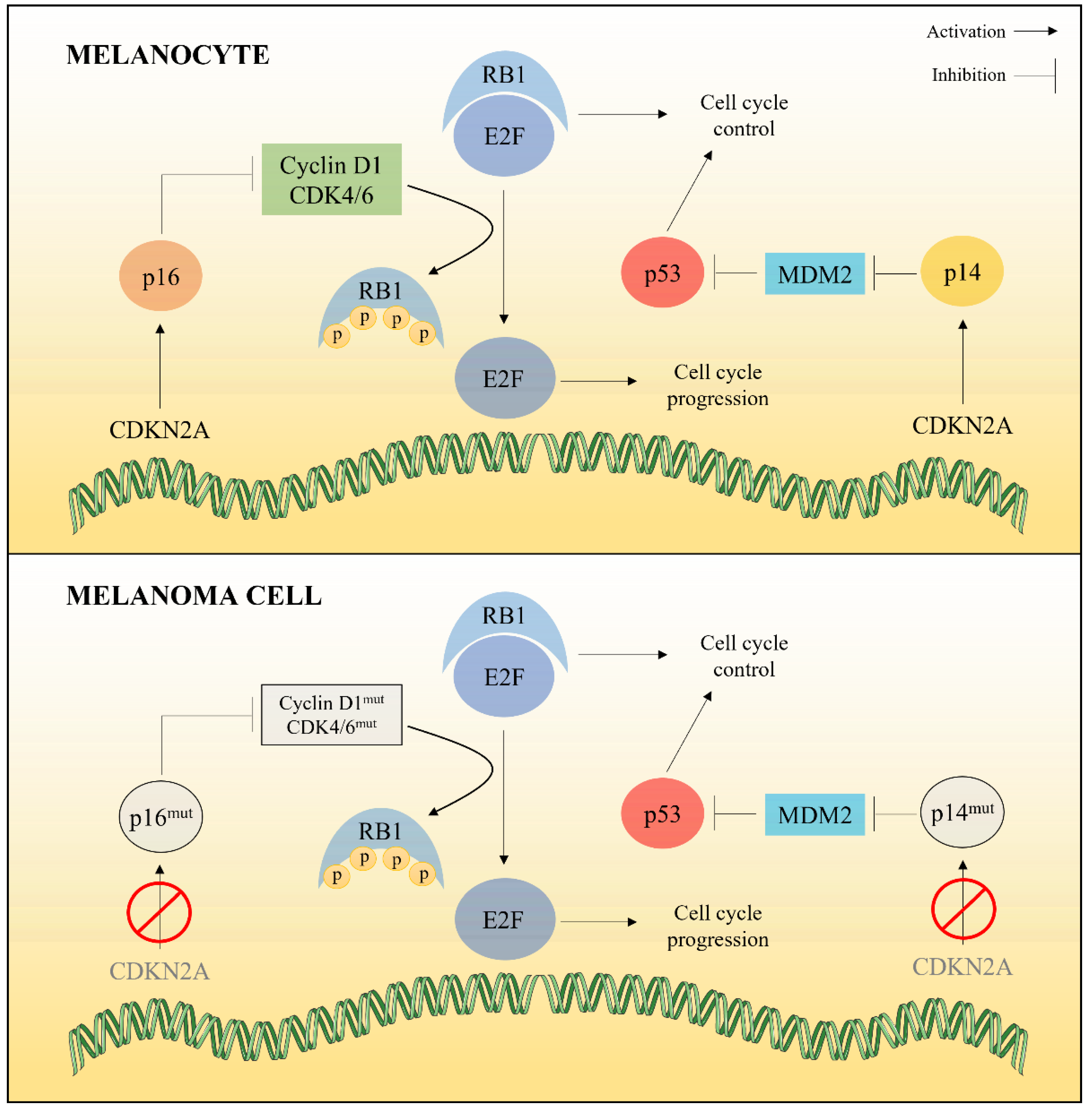 Marinedrugs 20 00618 g001 Marinedrugs 20 00618 g001