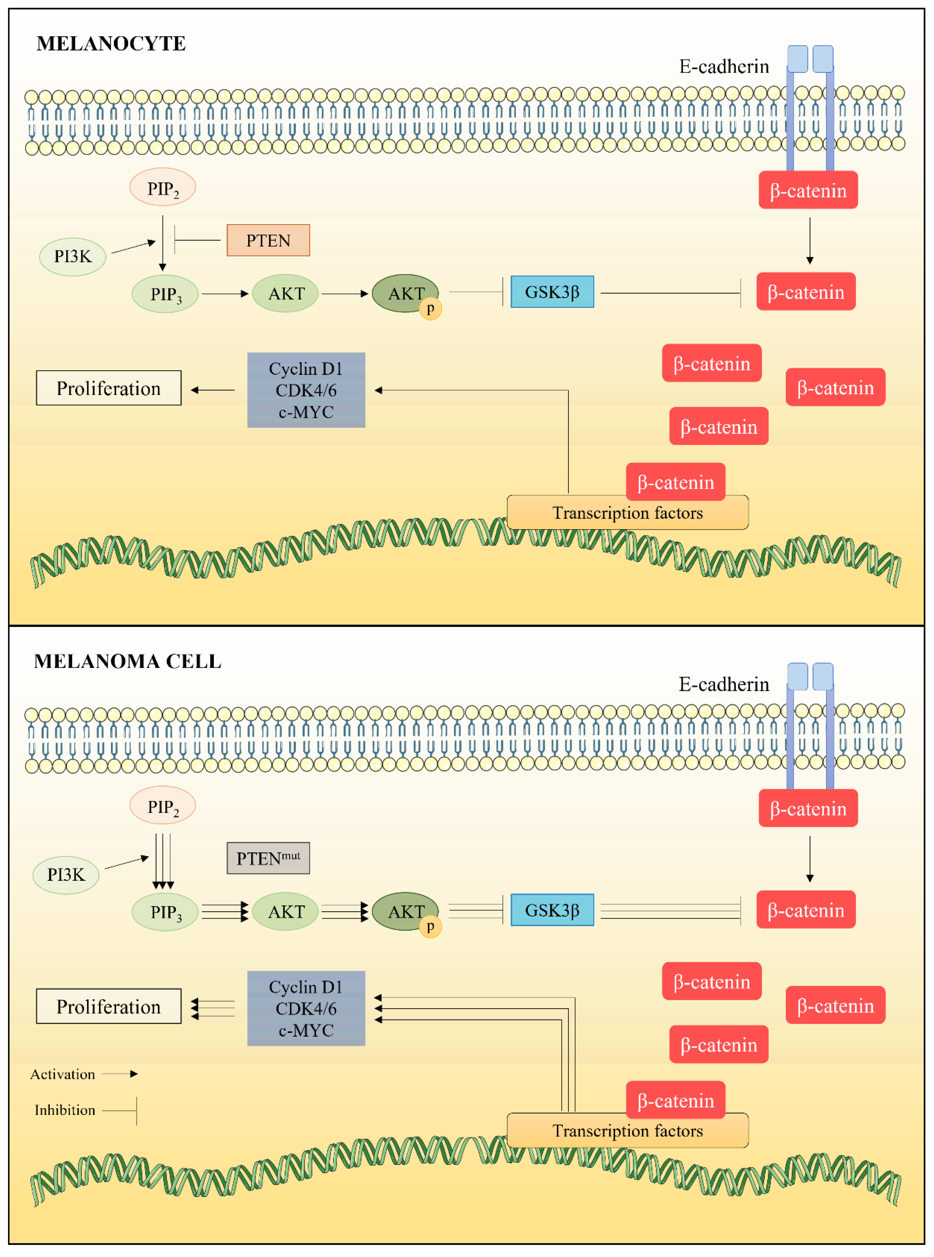 Marinedrugs 20 00618 g003 Marinedrugs 20 00618 g003