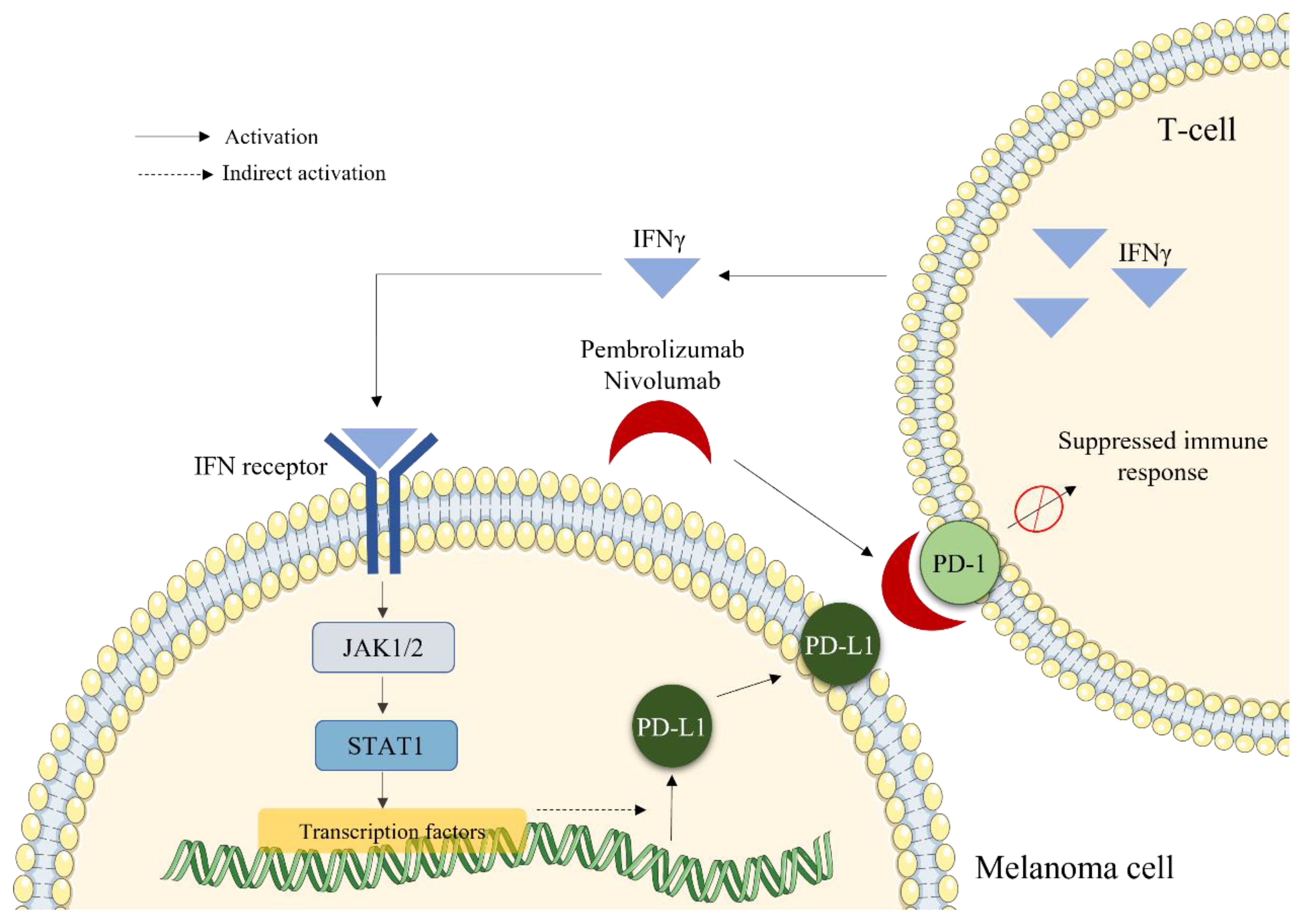 Marinedrugs 20 00618 g004 Marinedrugs 20 00618 g004