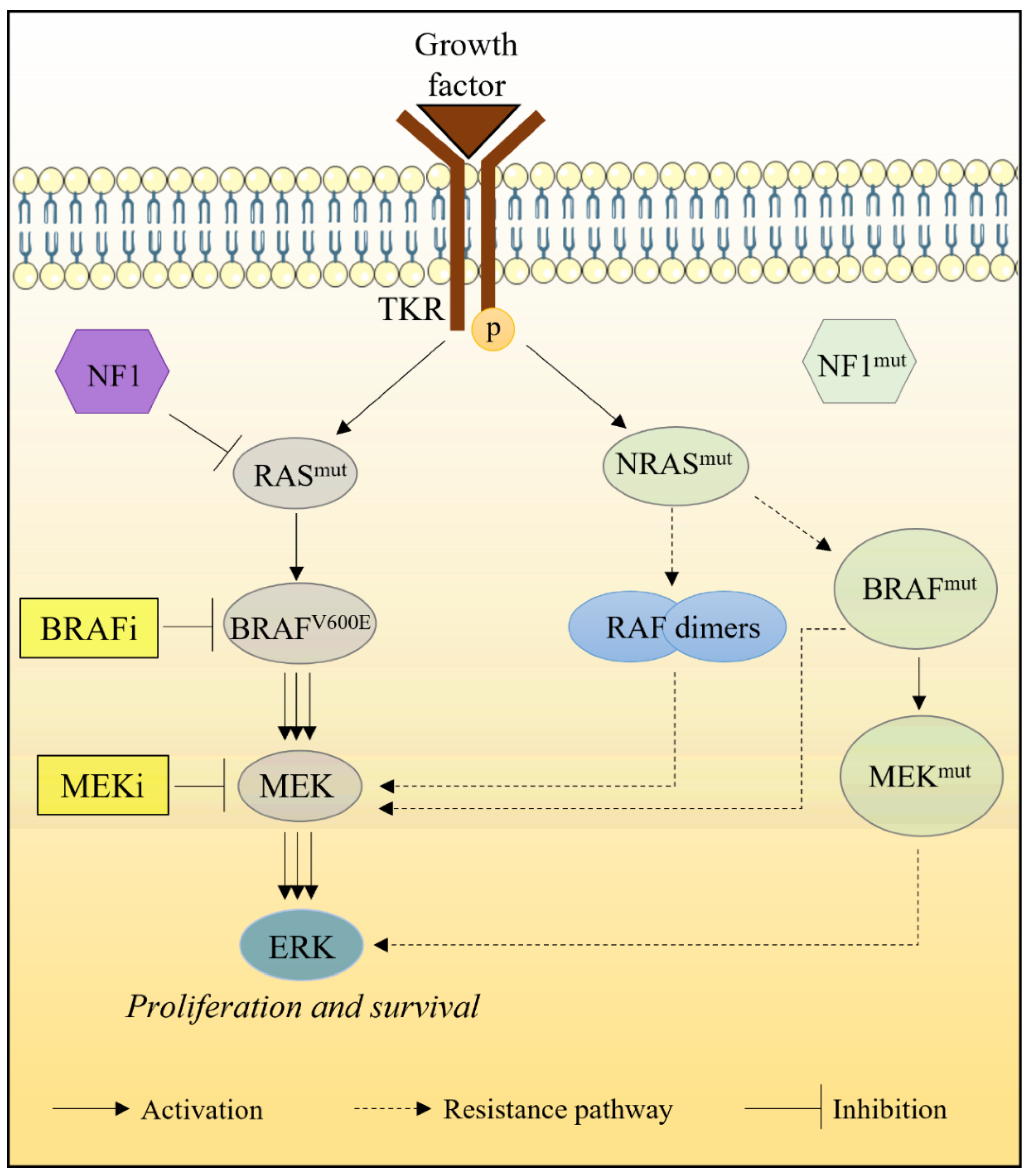 Marinedrugs 20 00618 g007 Marinedrugs 20 00618 g007