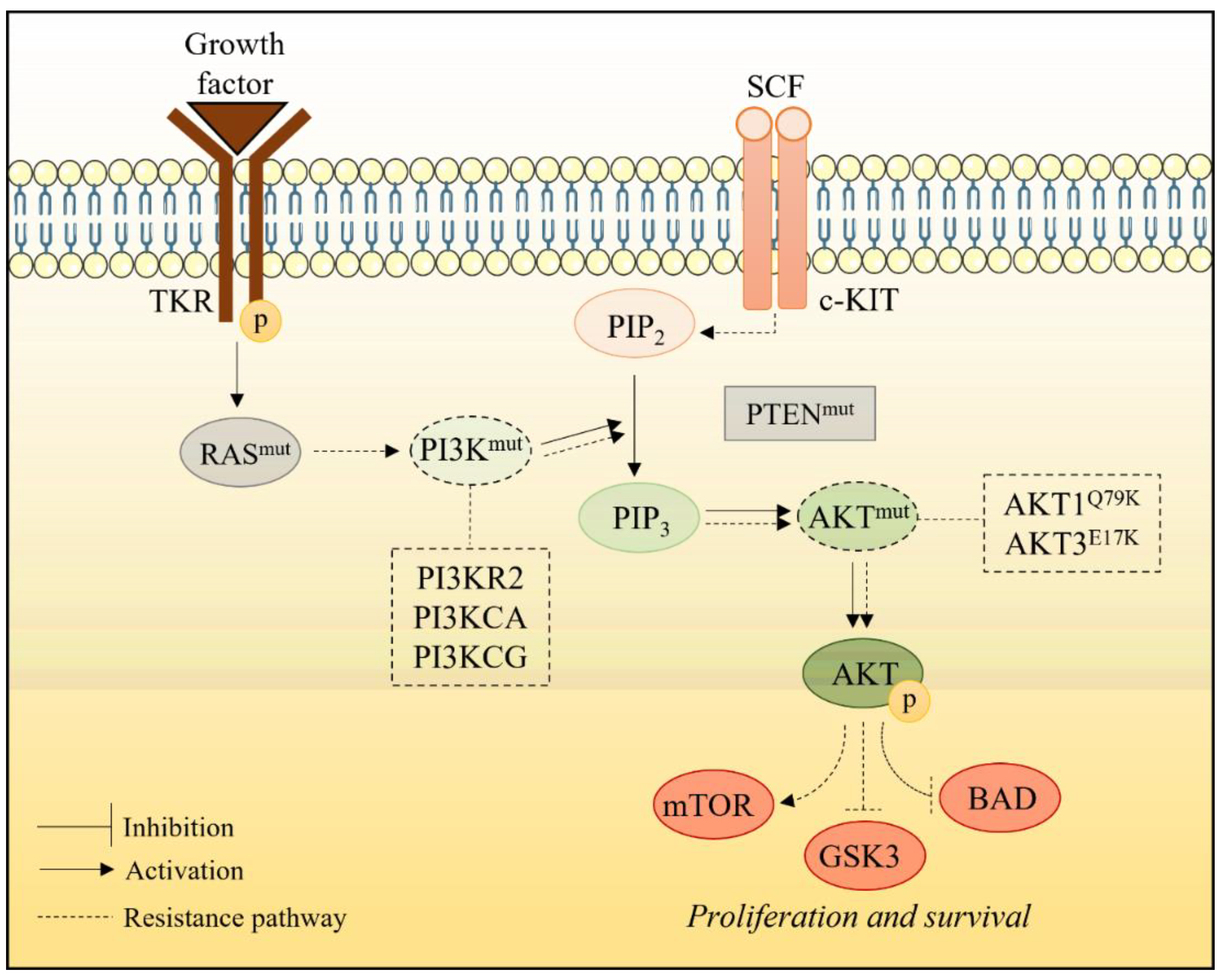 Marinedrugs 20 00618 g008 Marinedrugs 20 00618 g008