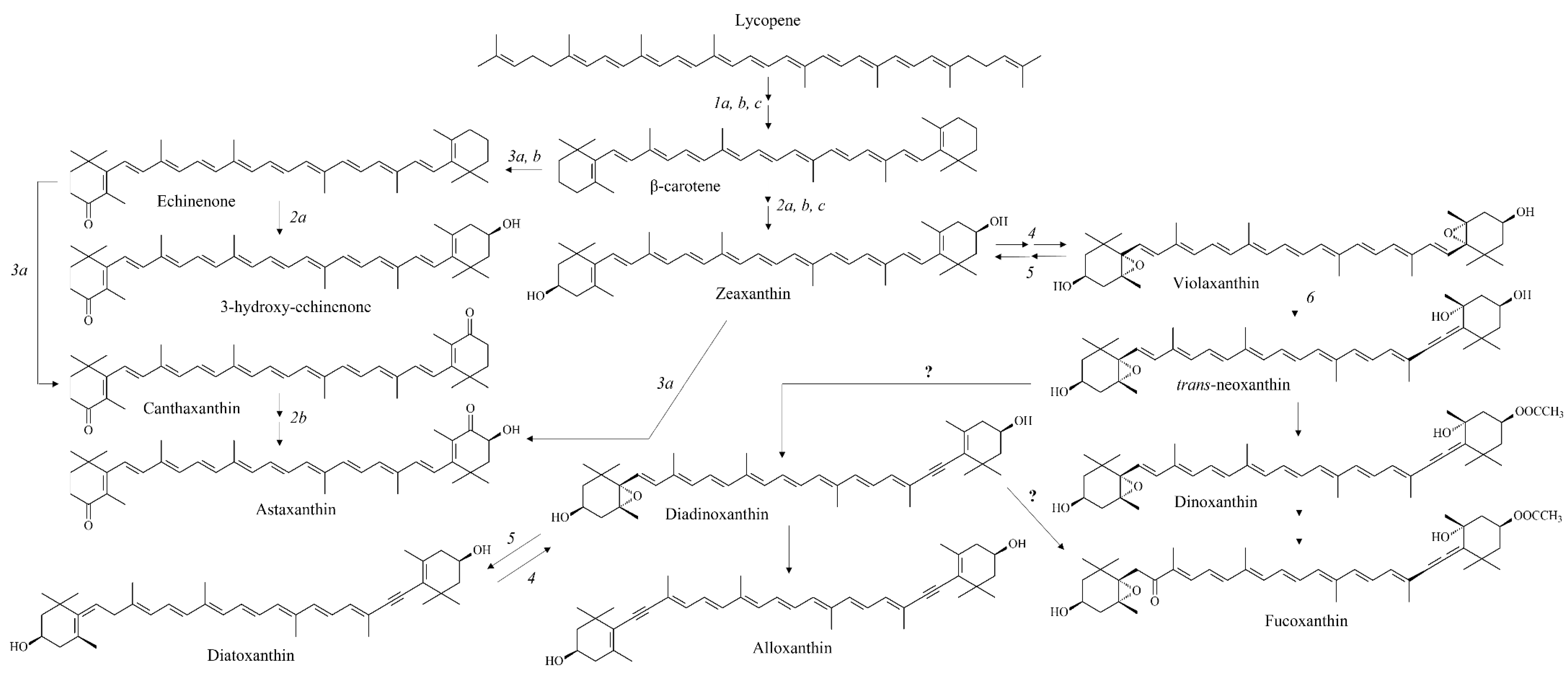 Marinedrugs 20 00618 g010 Marinedrugs 20 00618 g010