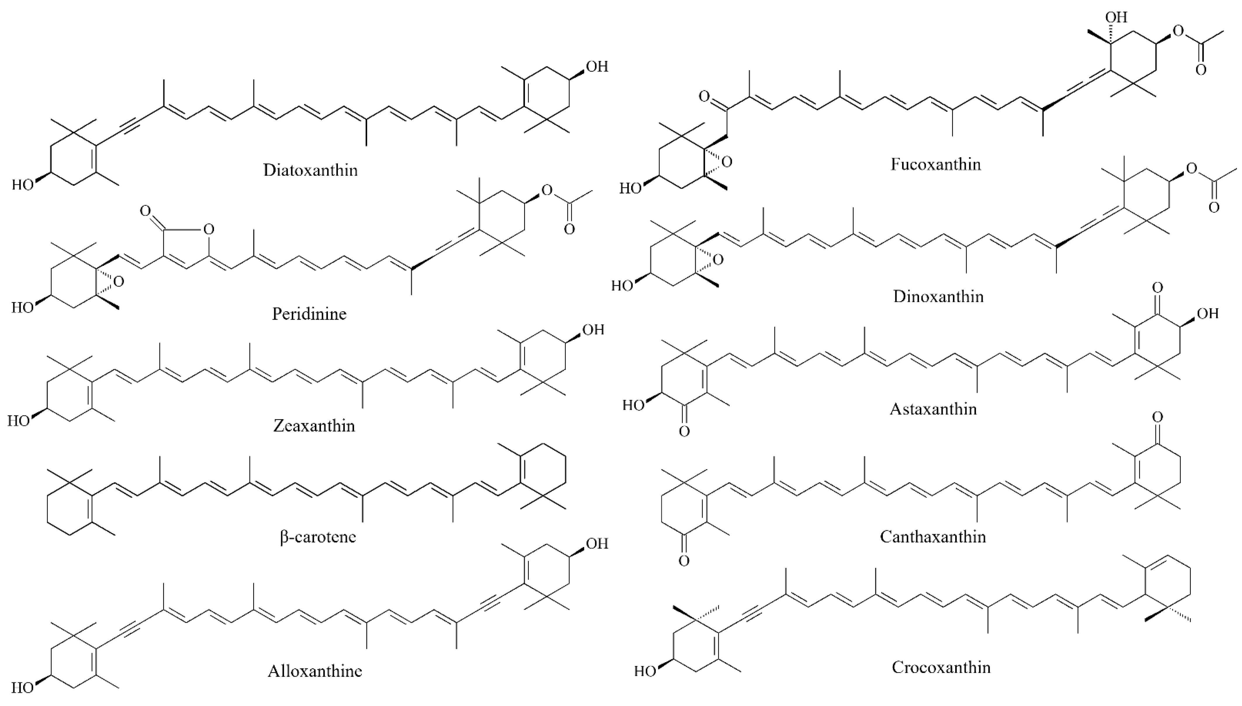 Marinedrugs 20 00618 g011 Marinedrugs 20 00618 g011