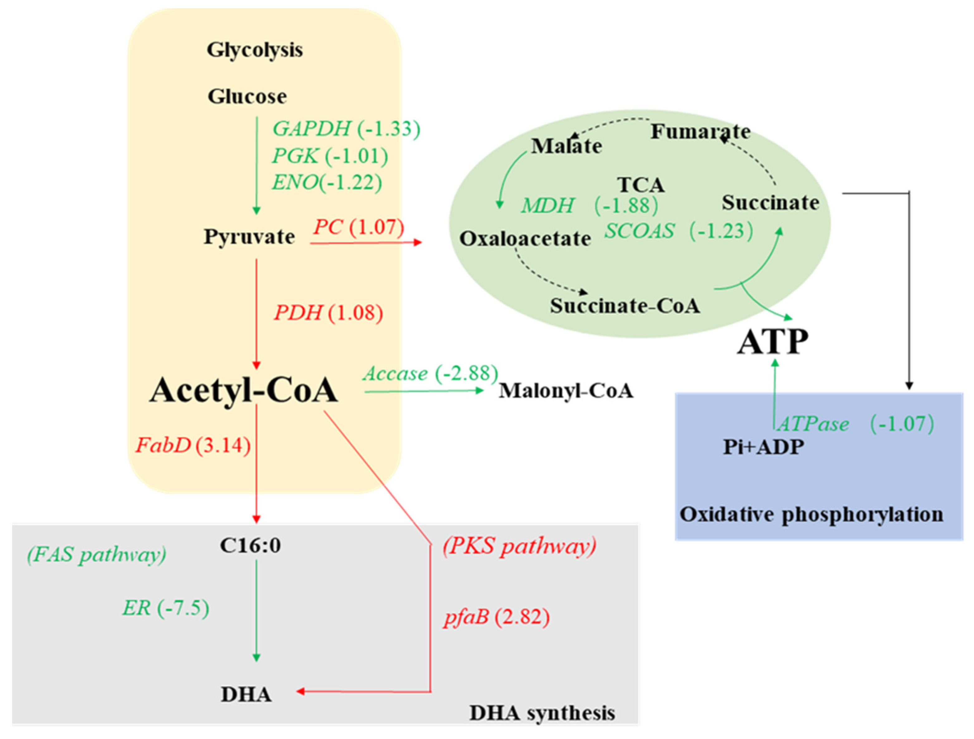 Marinedrugs 20 00621 g005