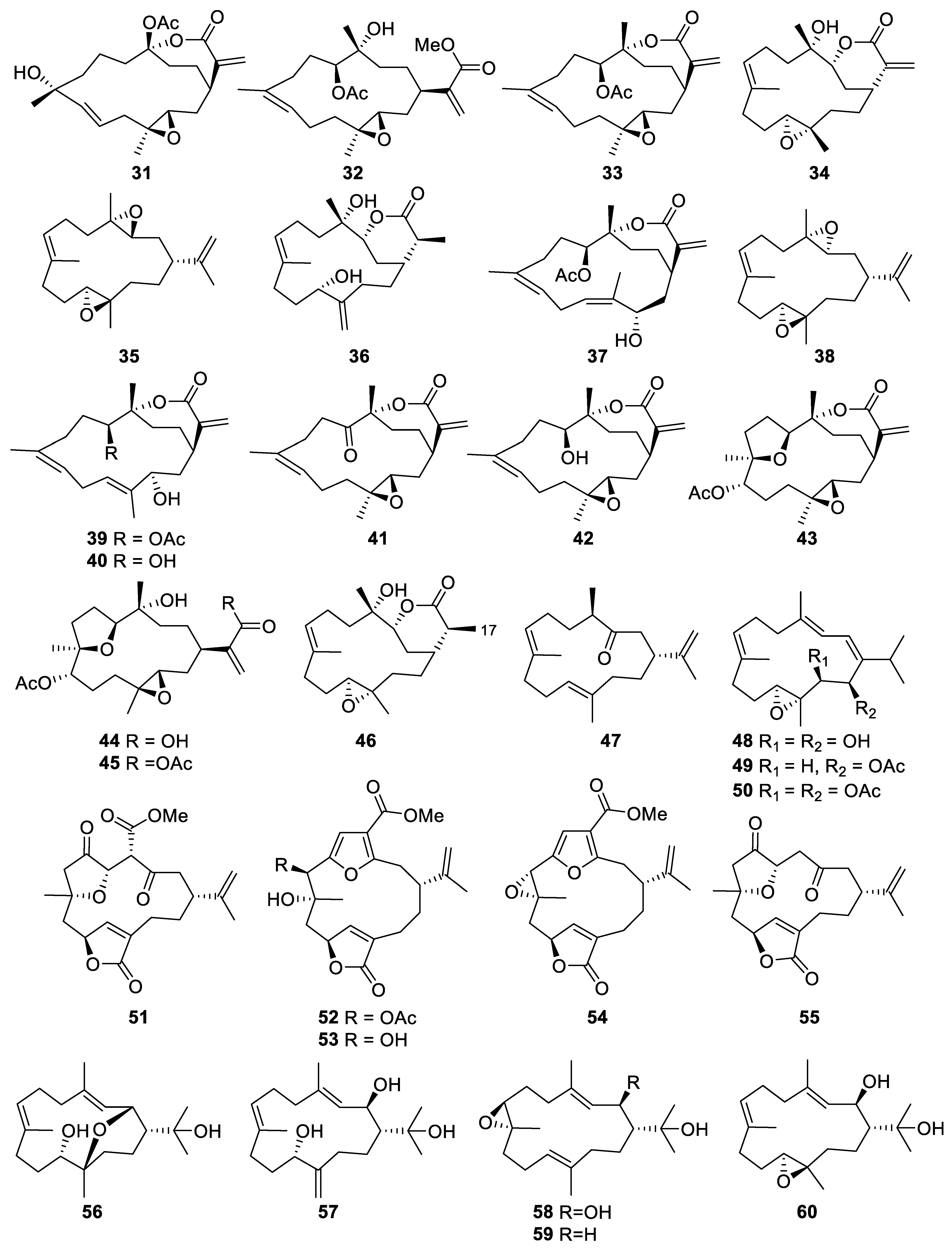 Marinedrugs 20 00640 g004