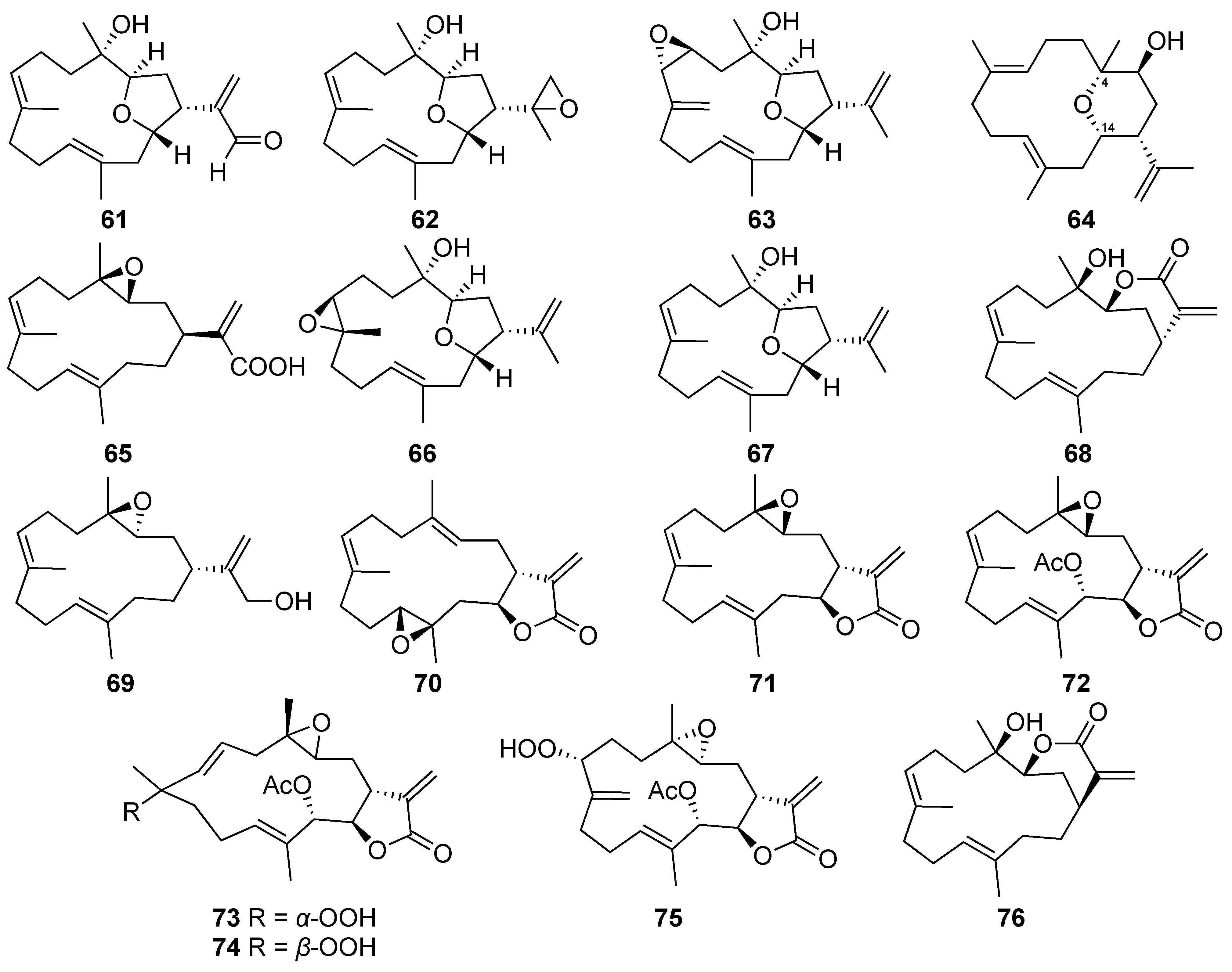 Marinedrugs 20 00640 g005