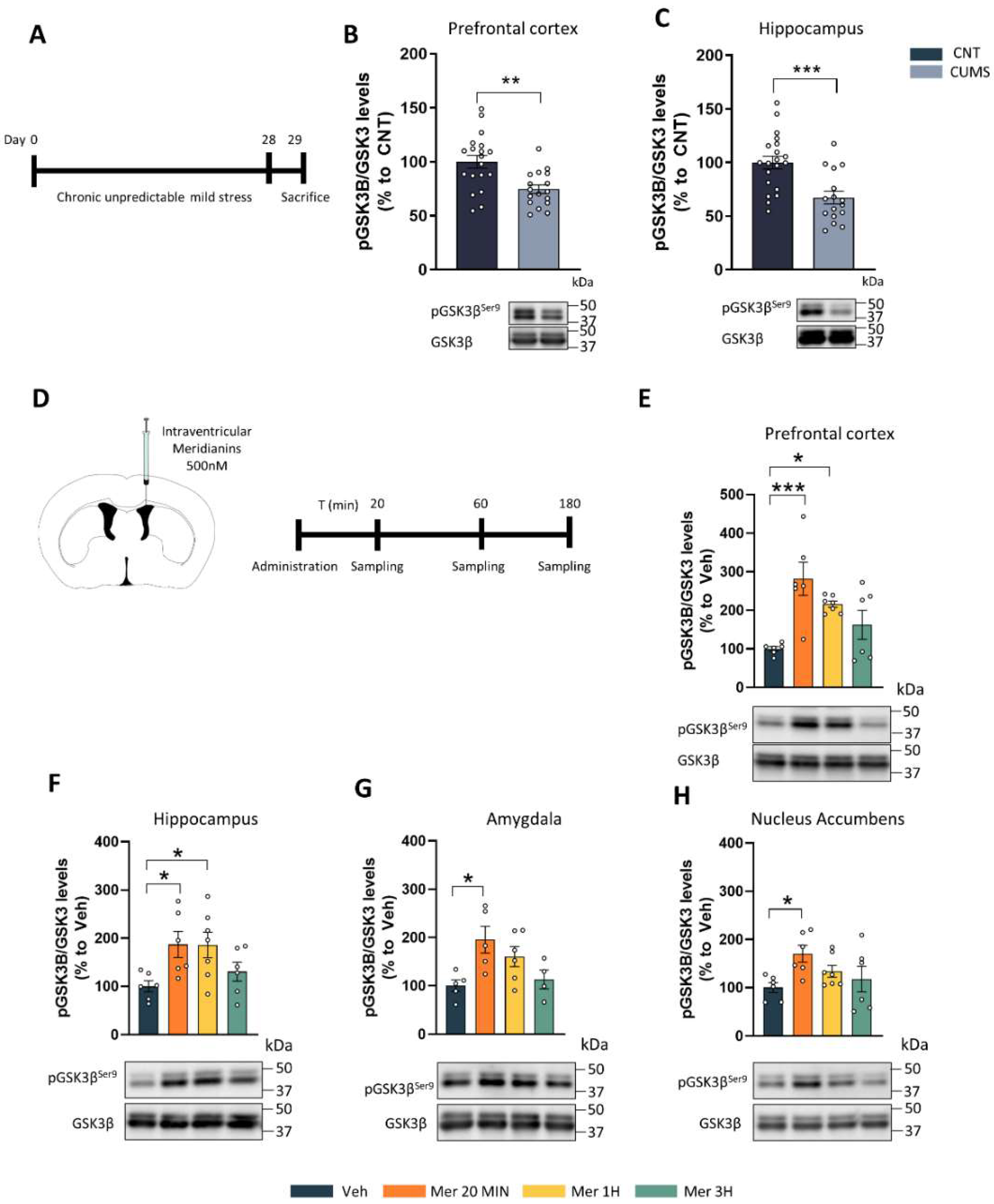 Marinedrugs 20 00648 g001