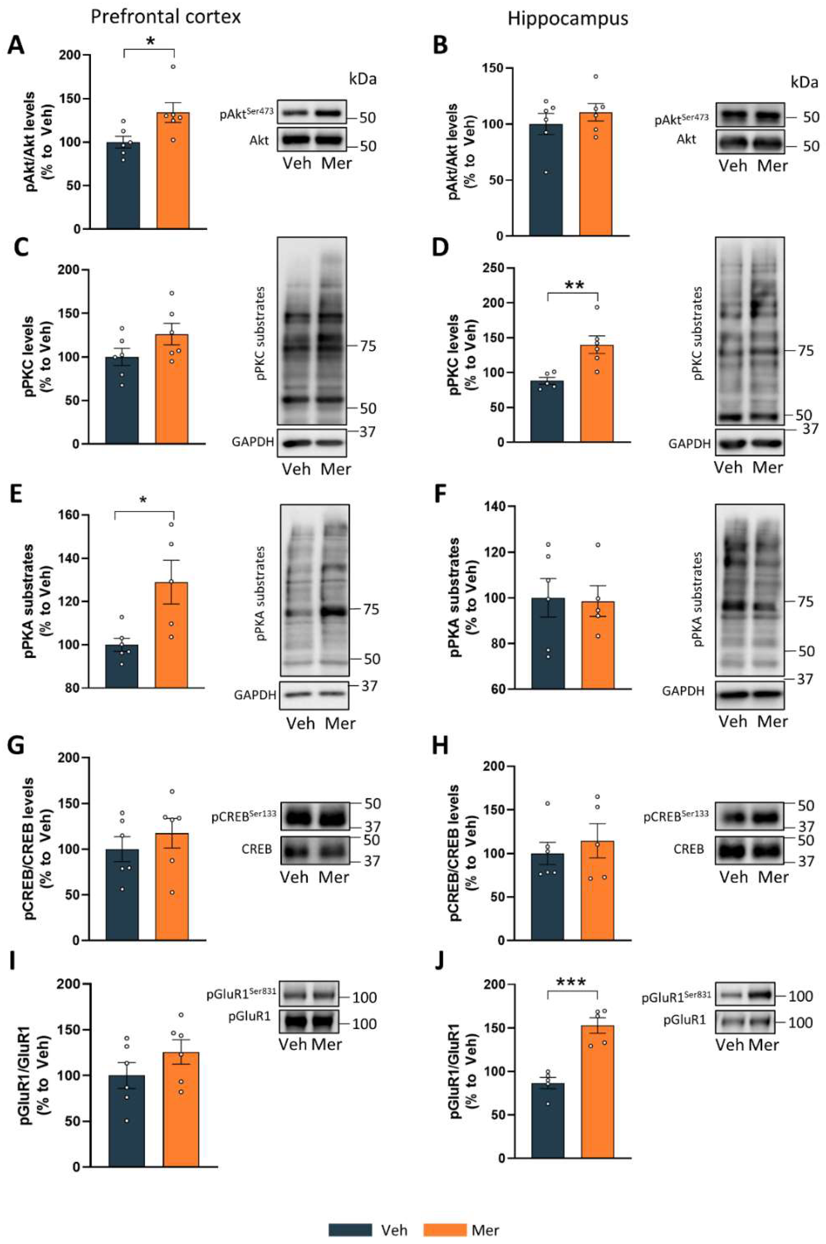 Marinedrugs 20 00648 g002