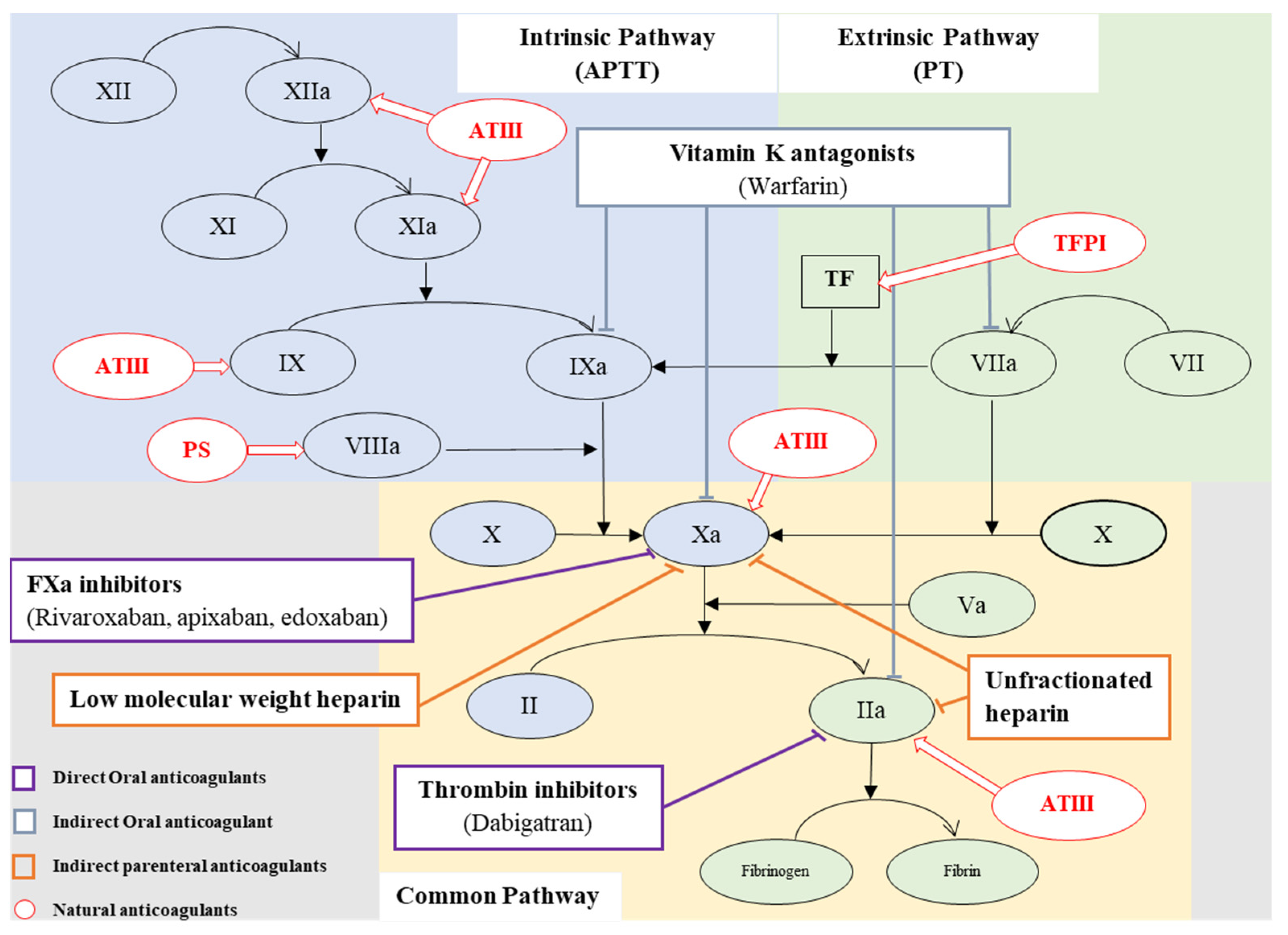 Marinedrugs 20 00654 g001