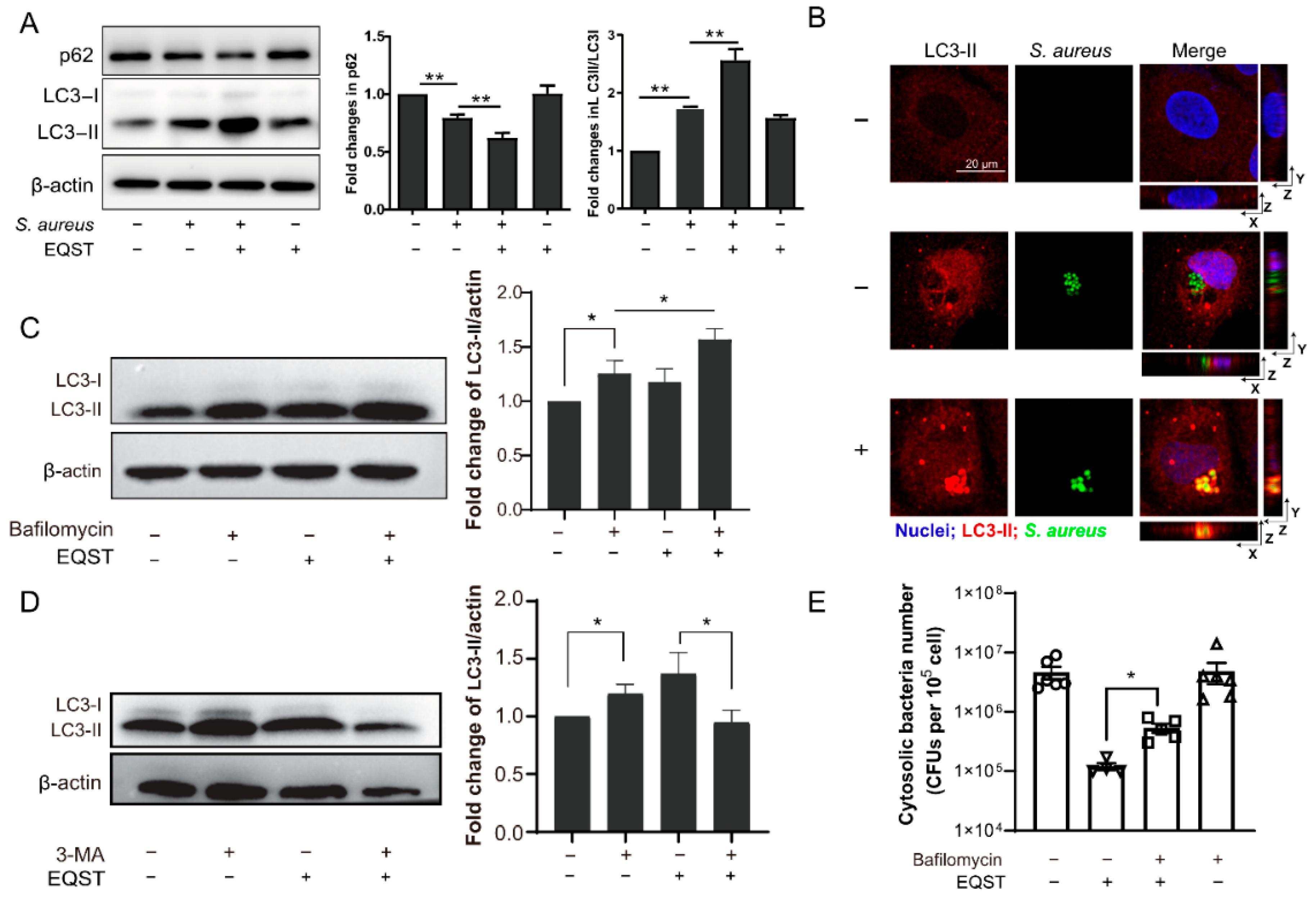 Marinedrugs 20 00656 g002 Marinedrugs 20 00656 g002