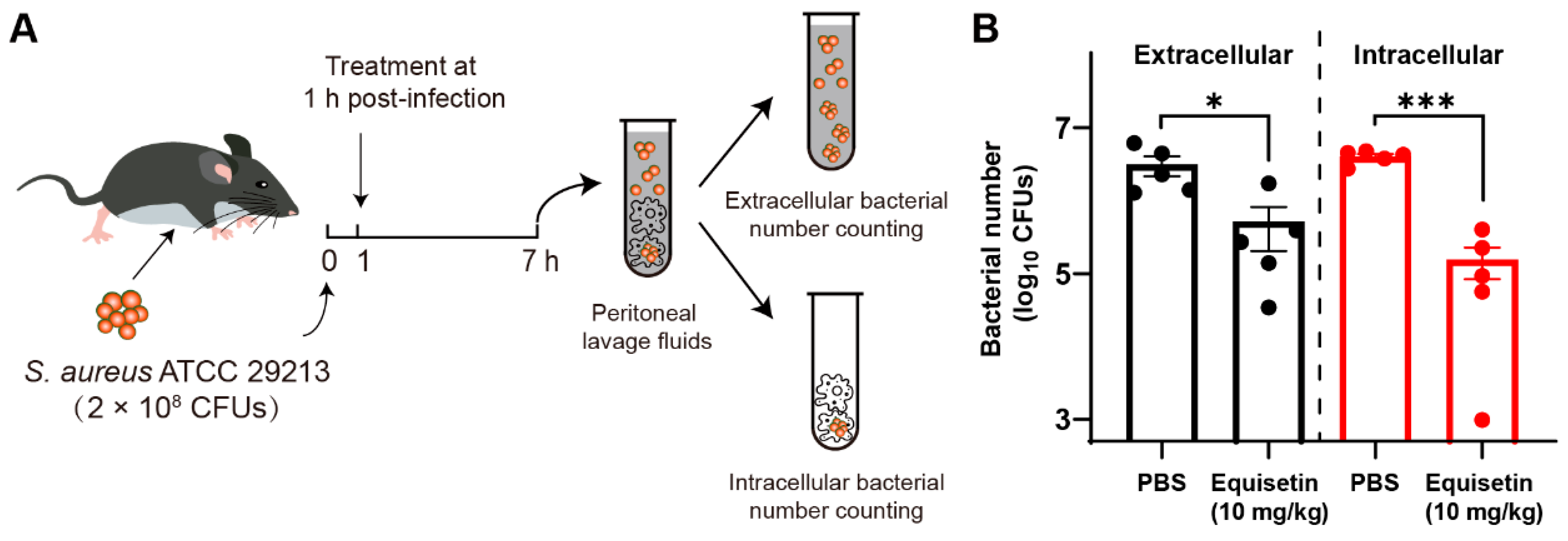 Marinedrugs 20 00656 g004 Marinedrugs 20 00656 g004