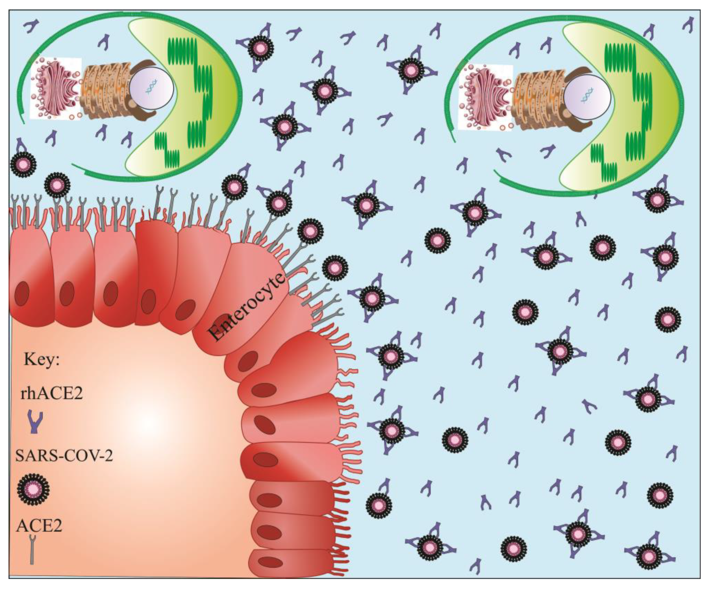 Marinedrugs 20 00657 g004
