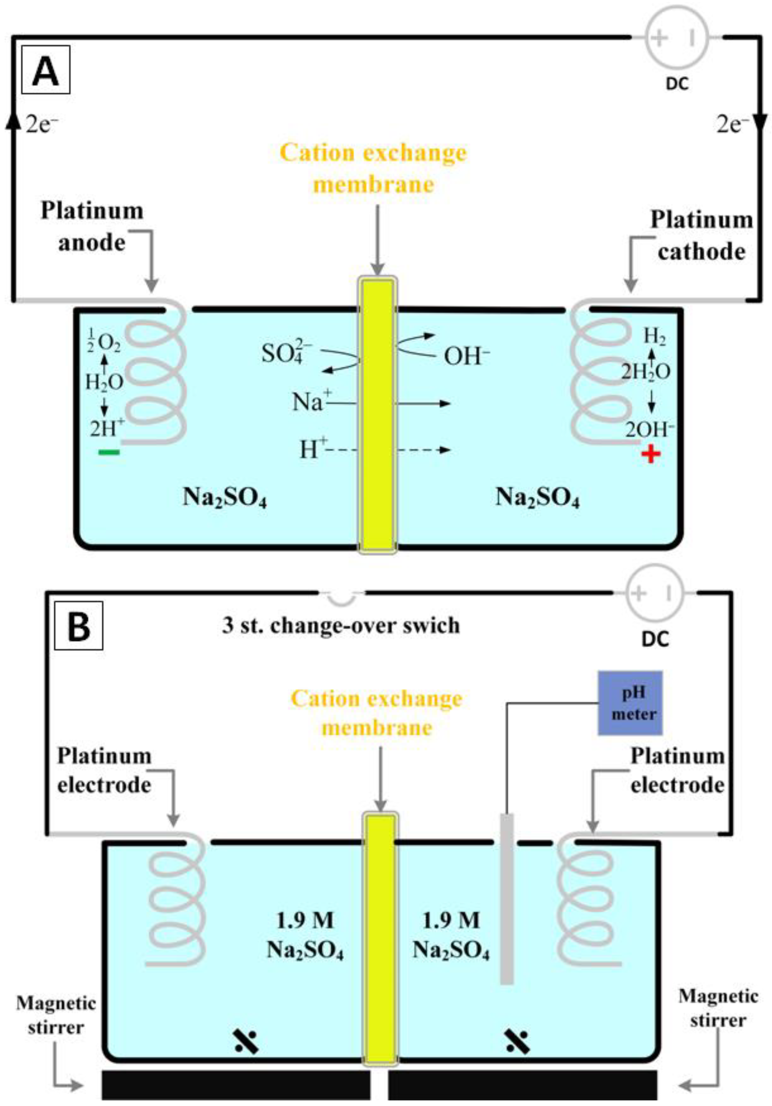Marinedrugs 20 00665 g001