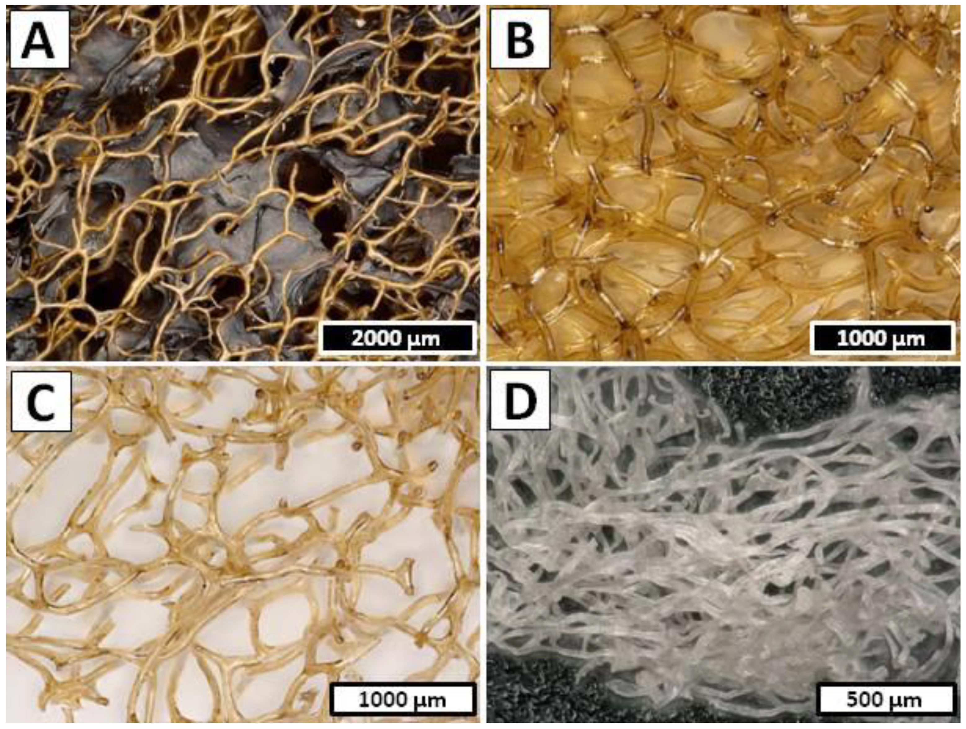 Marinedrugs 20 00665 g002