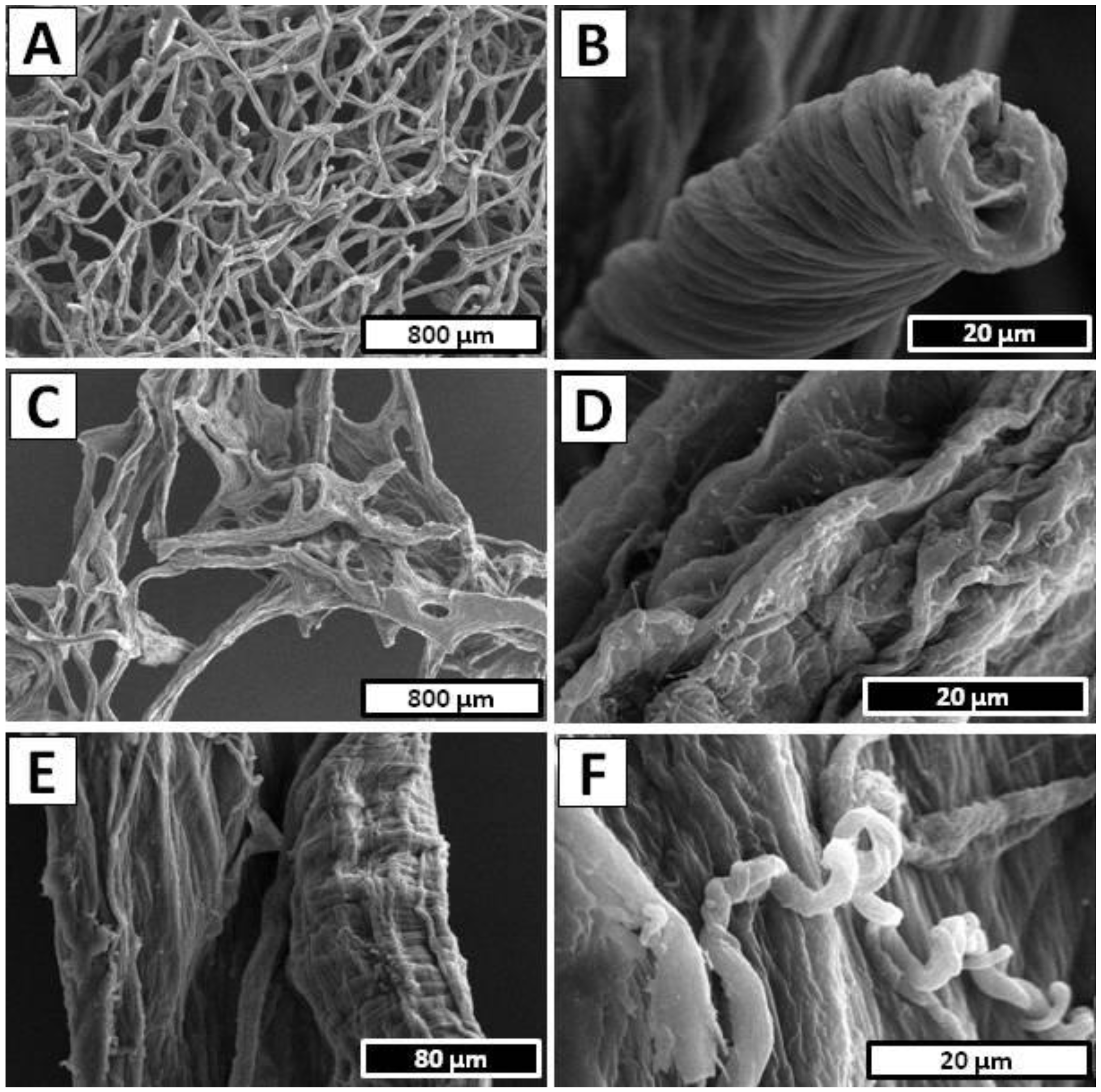 Marinedrugs 20 00665 g003