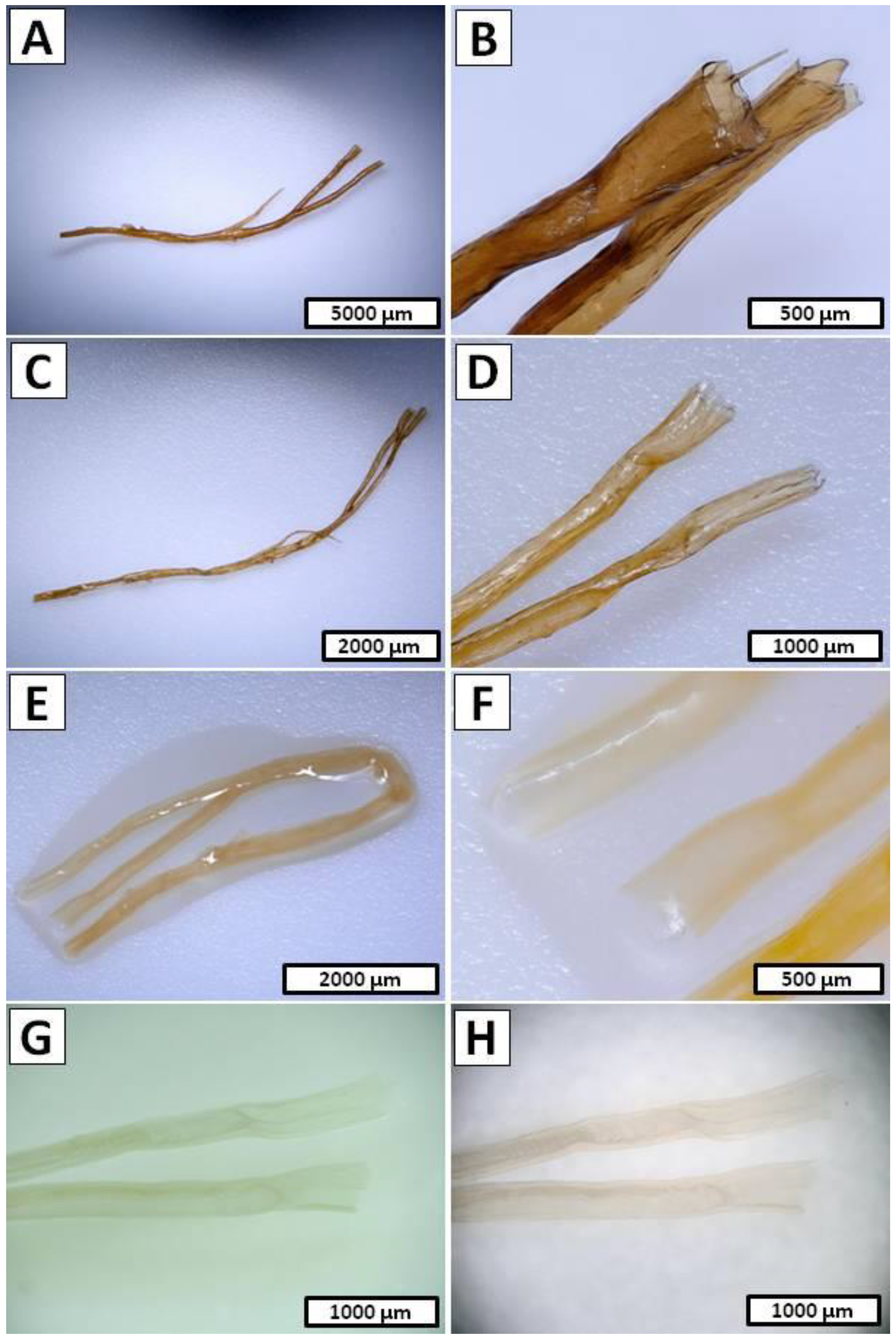 Marinedrugs 20 00665 g005