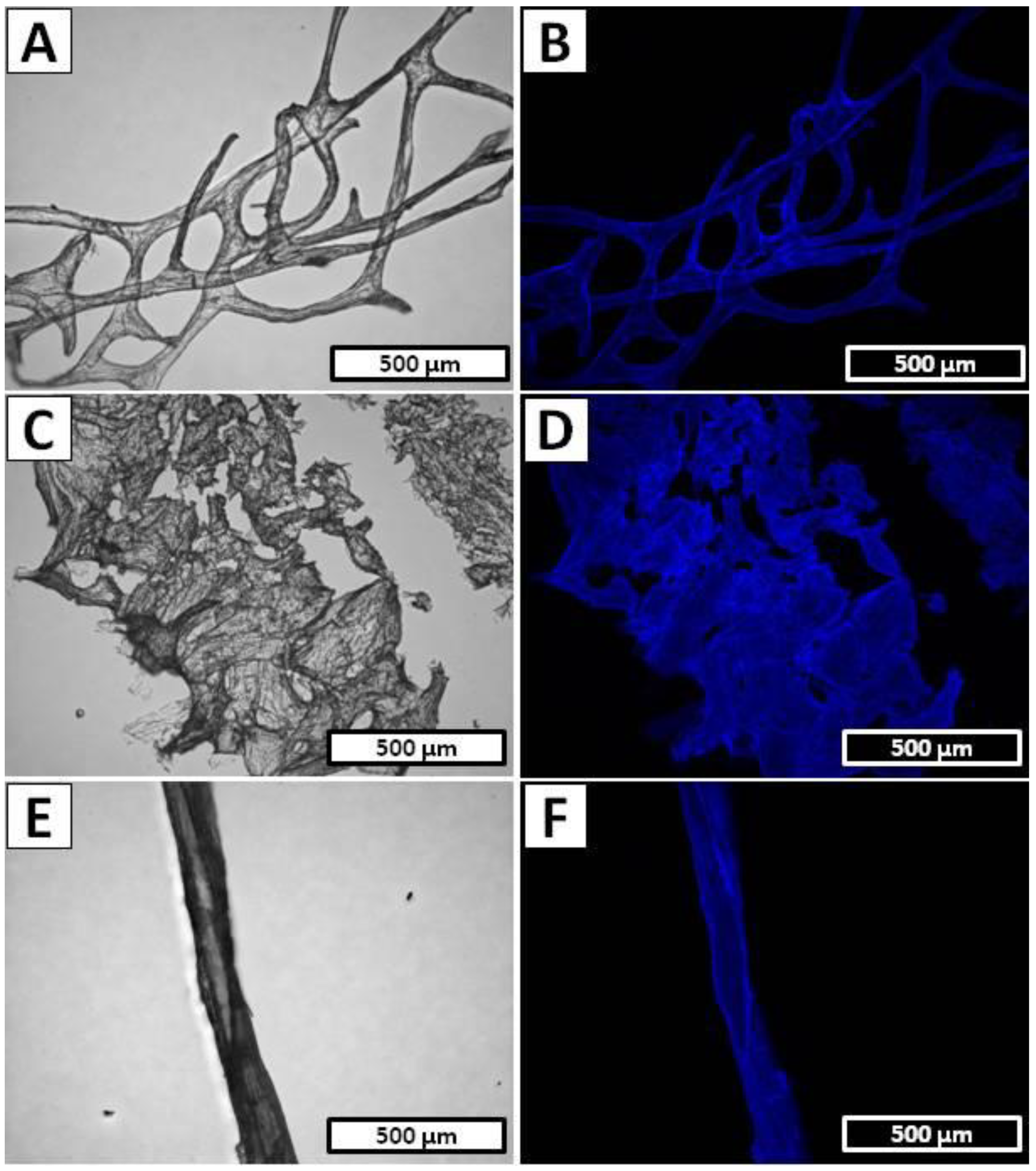 Marinedrugs 20 00665 g006