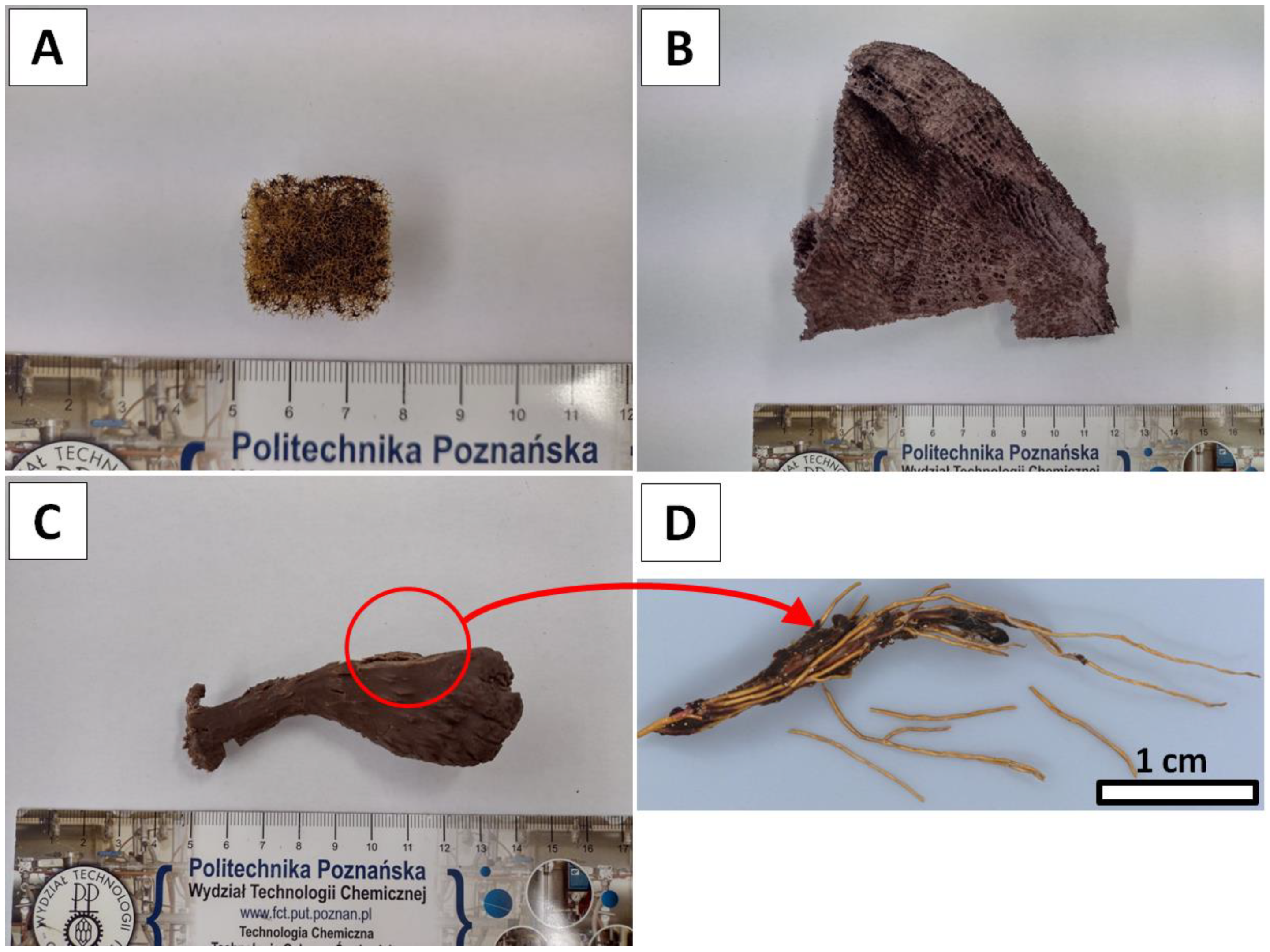 Marinedrugs 20 00665 g009