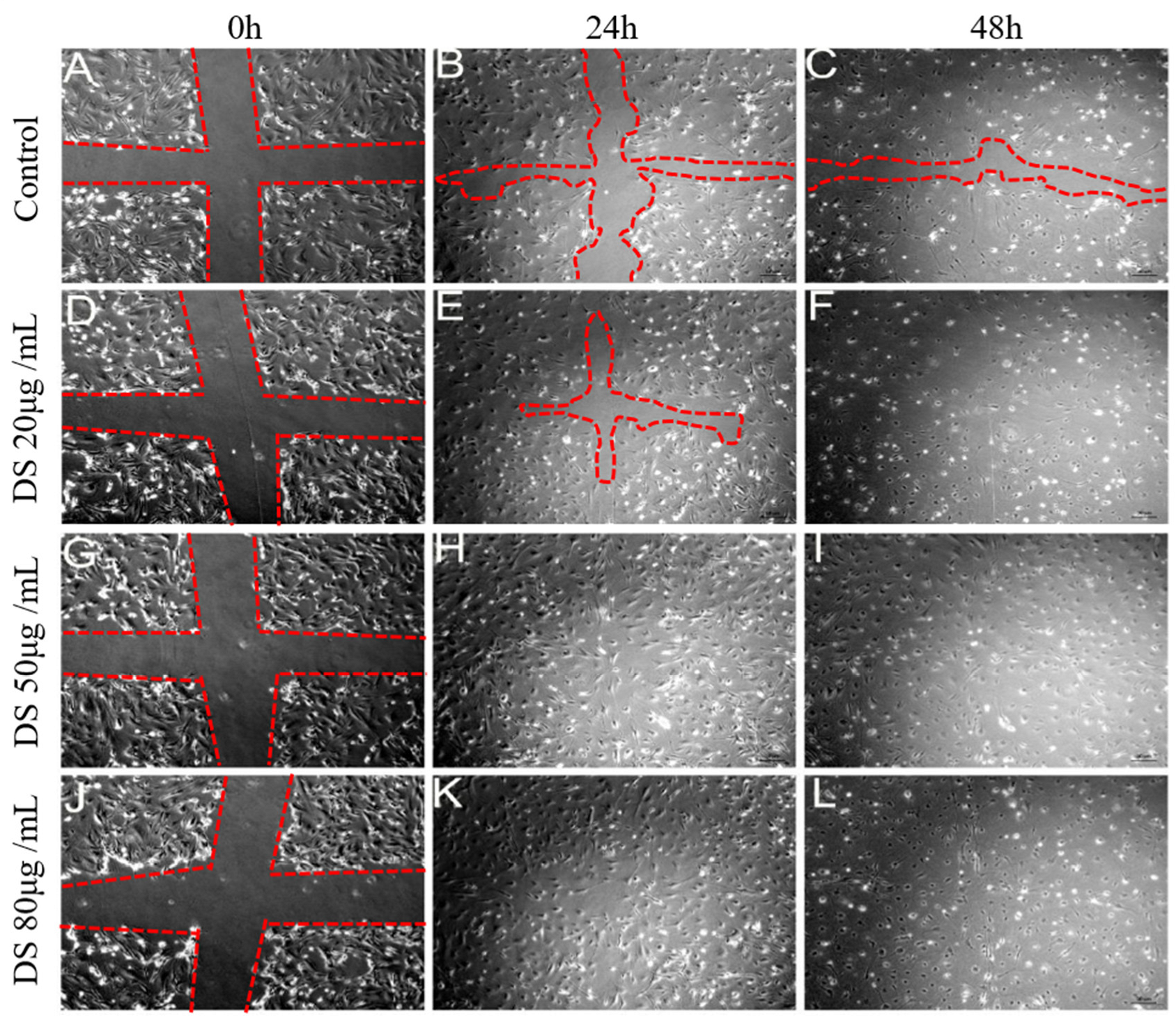 Marinedrugs 20 00676 g003
