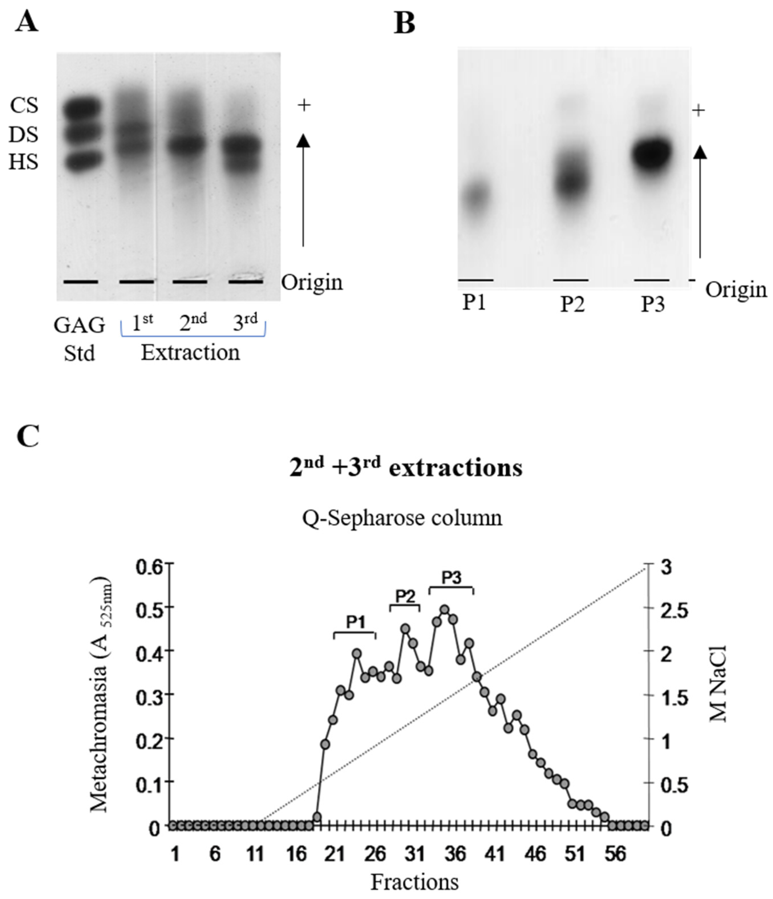 Marinedrugs 20 00676 g004
